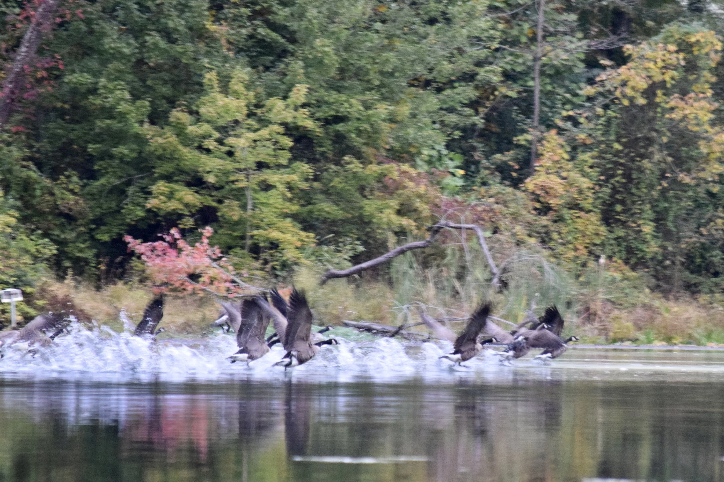 DSC_0471.jpg