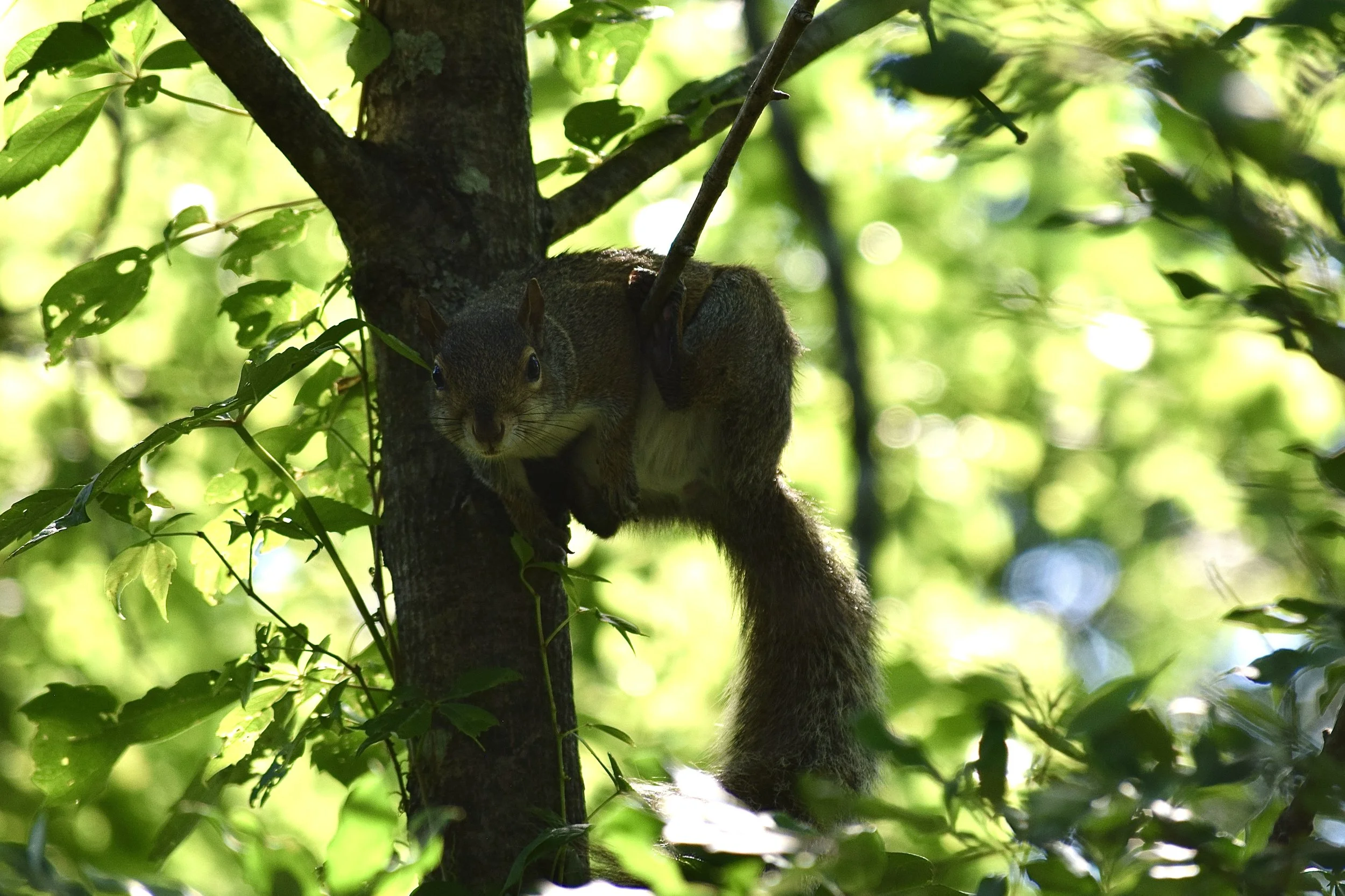DSC_0031.jpg