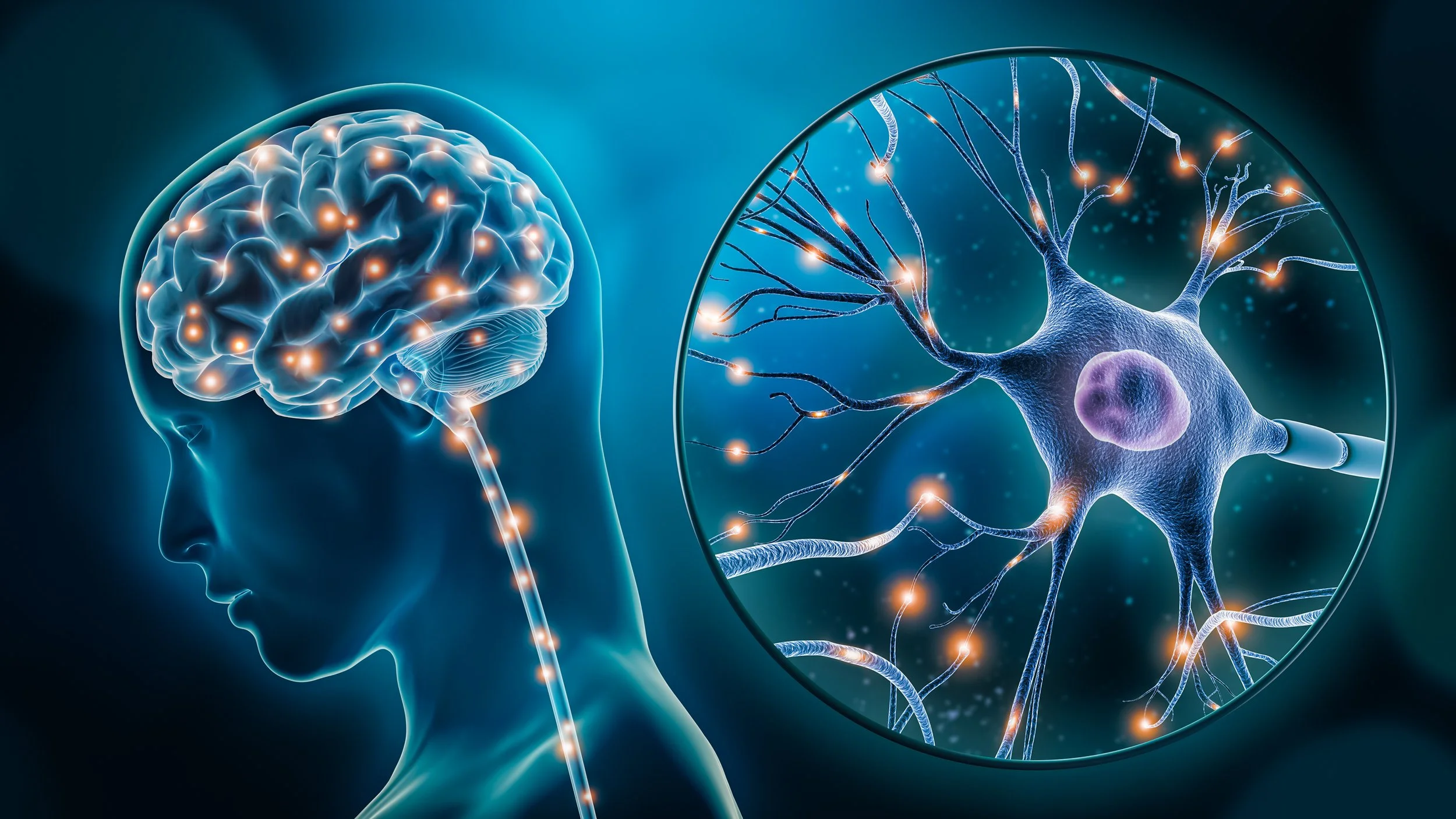 Anxiety, ADHD &amp; Chronic Stress: Test Your Neurotransmitters and Find Your Root Cause