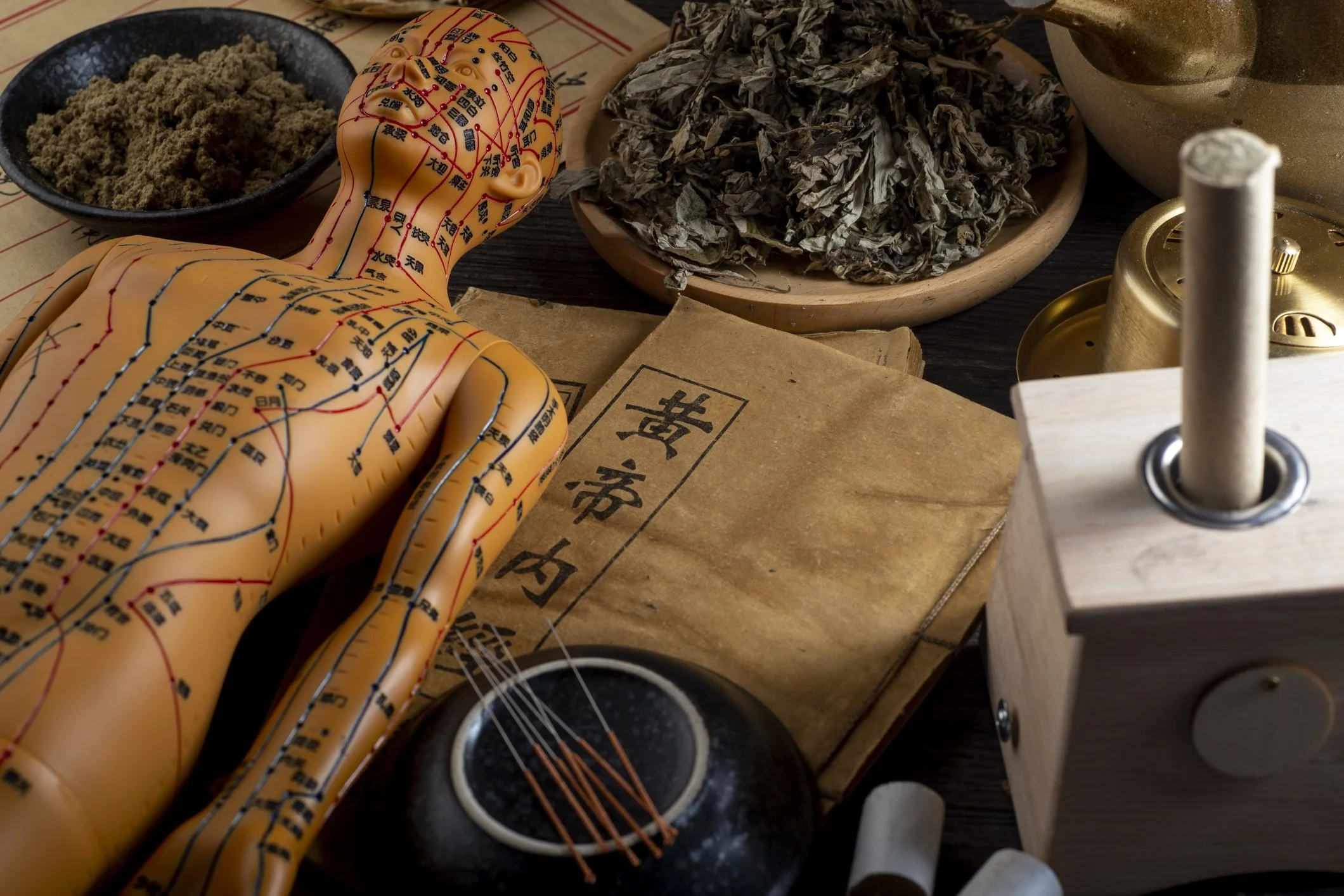 A scene with traditional Chinese medicine items including acupuncture charts on a plastic model of a human body, dried herbs in a wooden bowl, a small black bowl of powdered herbs, and various small containers and equipment.