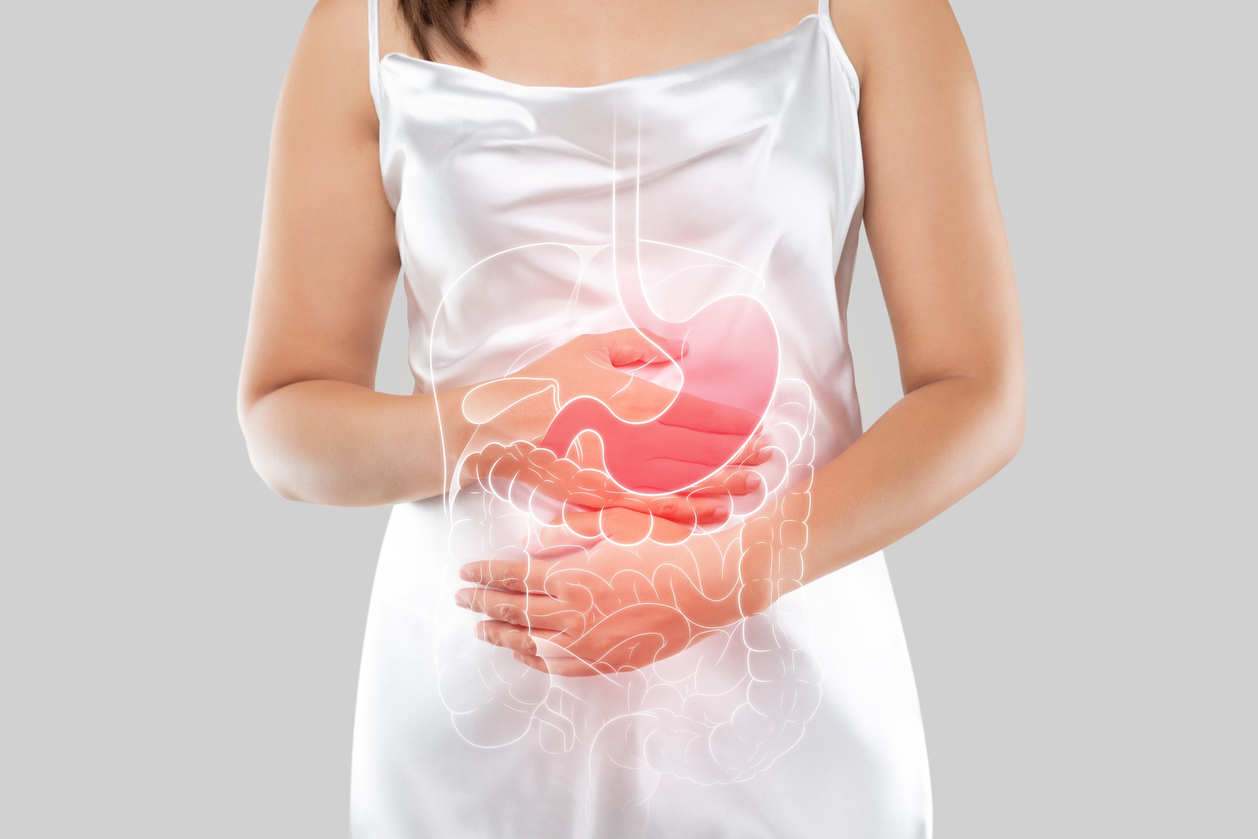 vecteezy_internal-organs-of-the-woman-body_14270539 (1).jpg