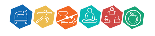 Lifestyle Medicine six pillars wellness