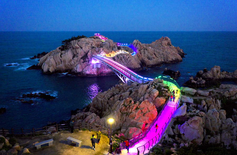 Illuminated walkway with colorful lights winding along rocky coastline with ocean in background at night