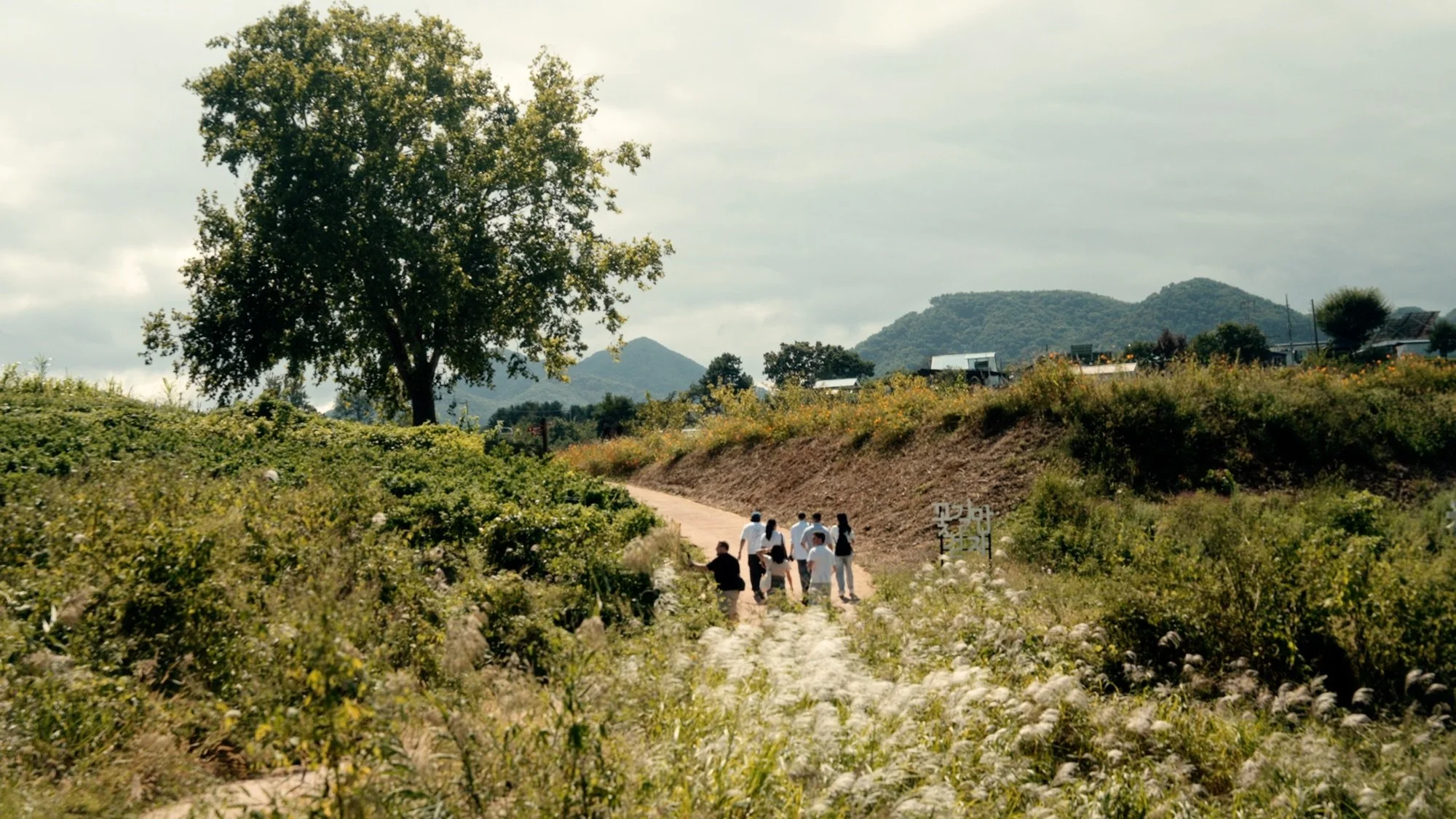 A small group of travelers walking along a dirt path through green Korean countryside