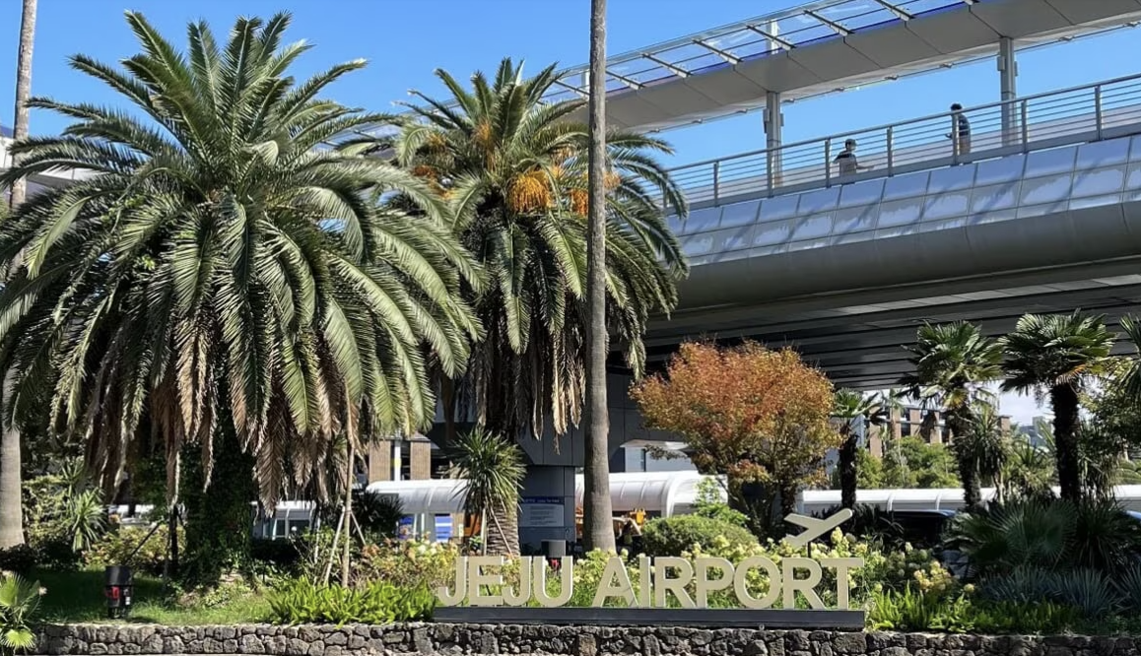 Sign reading 'Jeju Airport' surrounded by tropical plants and palm trees under a clear blue sky, with an elevated walkway and people in the background.