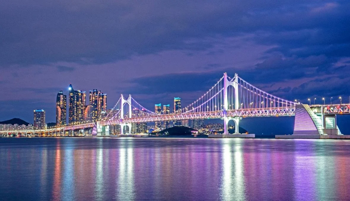 Night view of a lit-up suspension bridge over water with a city skyline in the background.