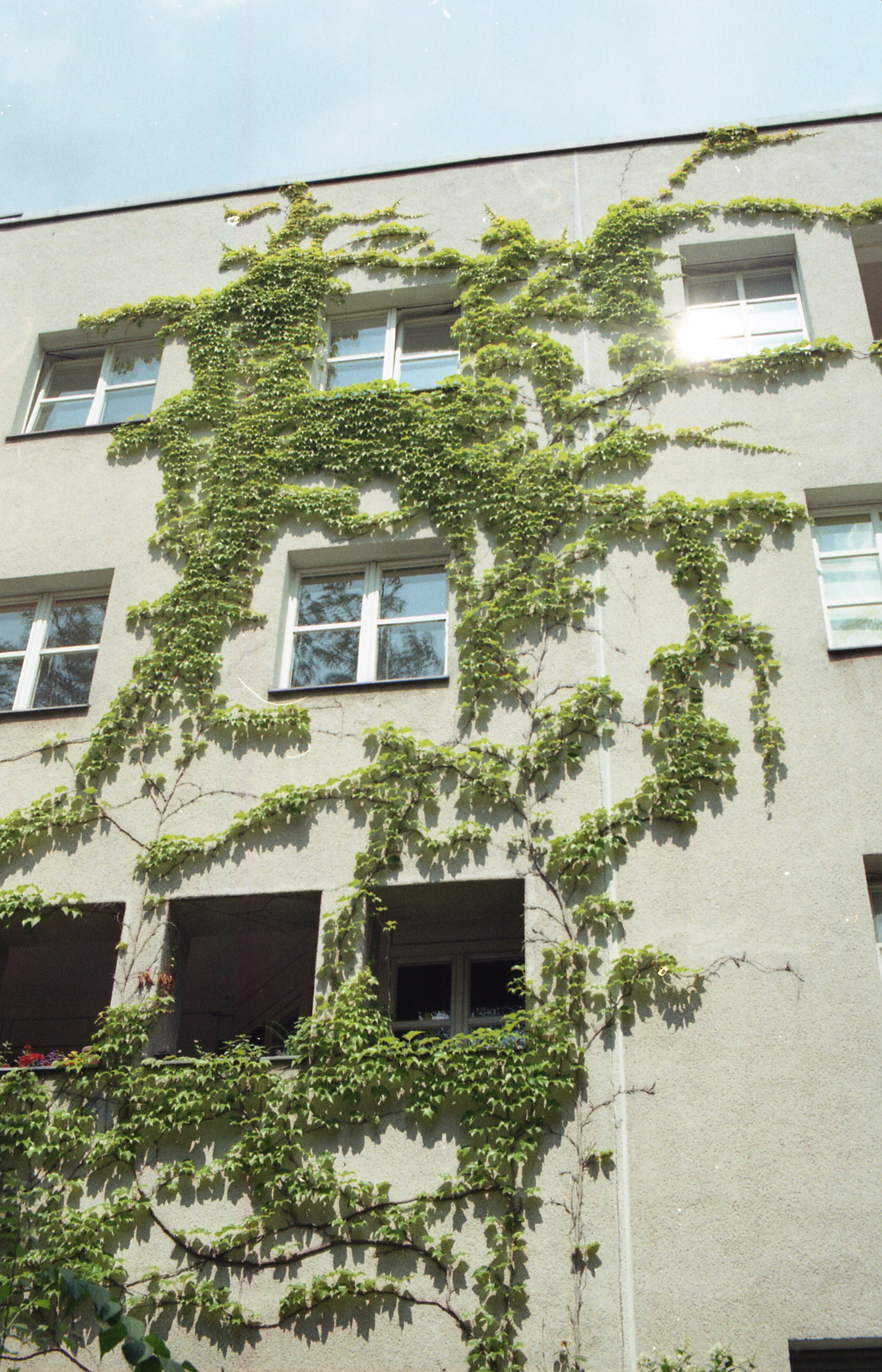 G1IMG034.jpg