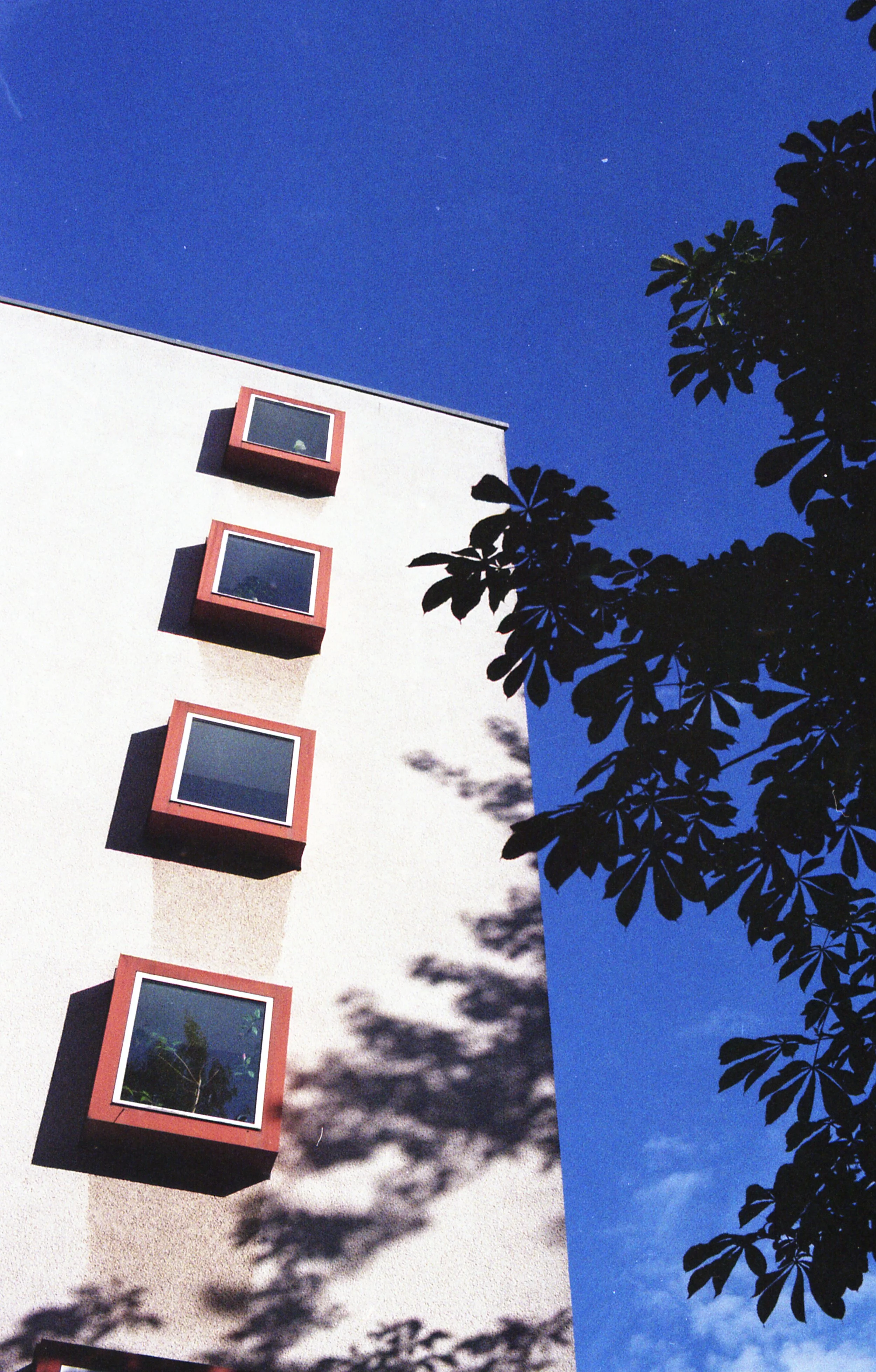 G8IMG014.jpg