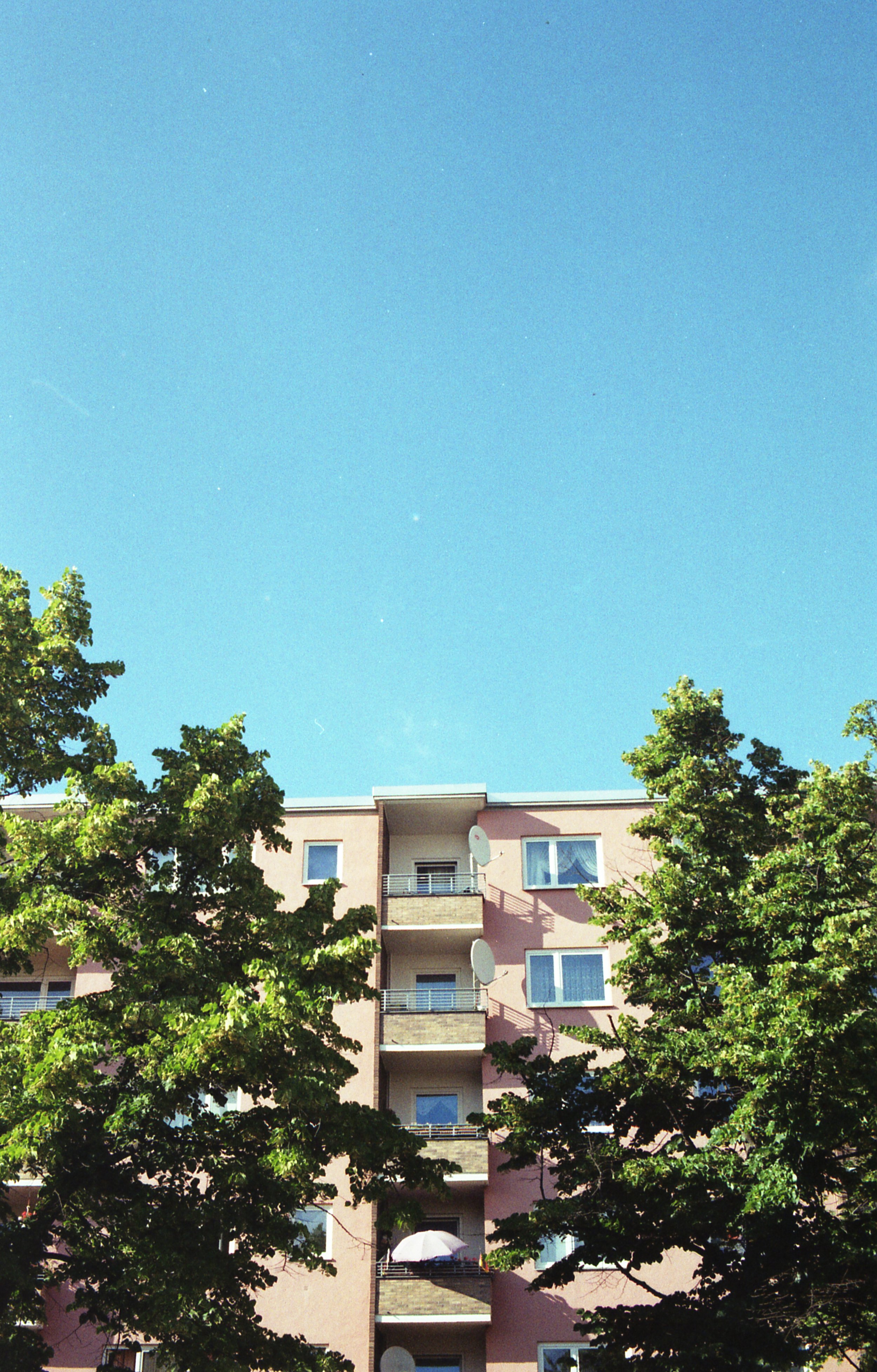 G8IMG010.jpg