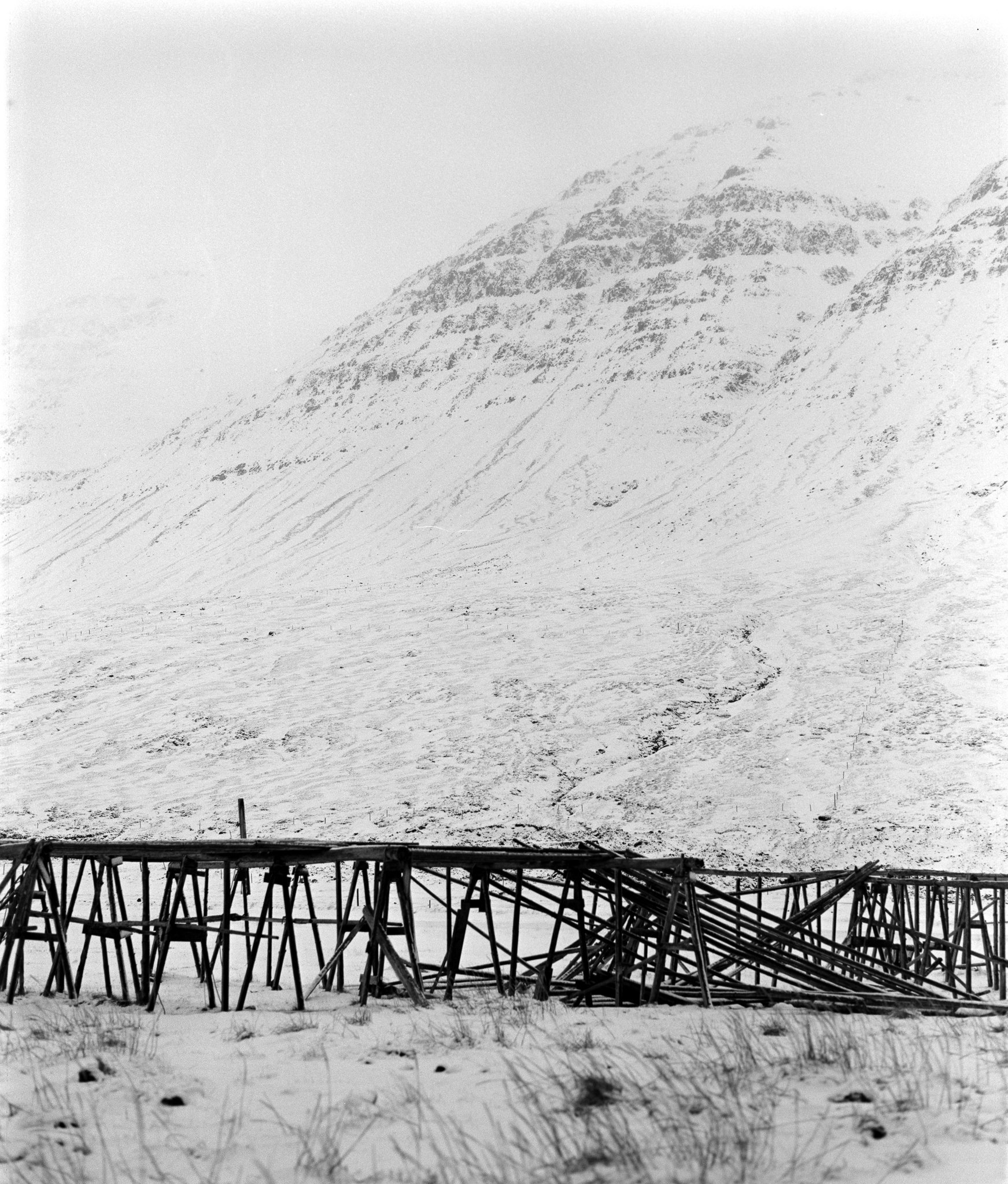 IMGL9445.jpg
