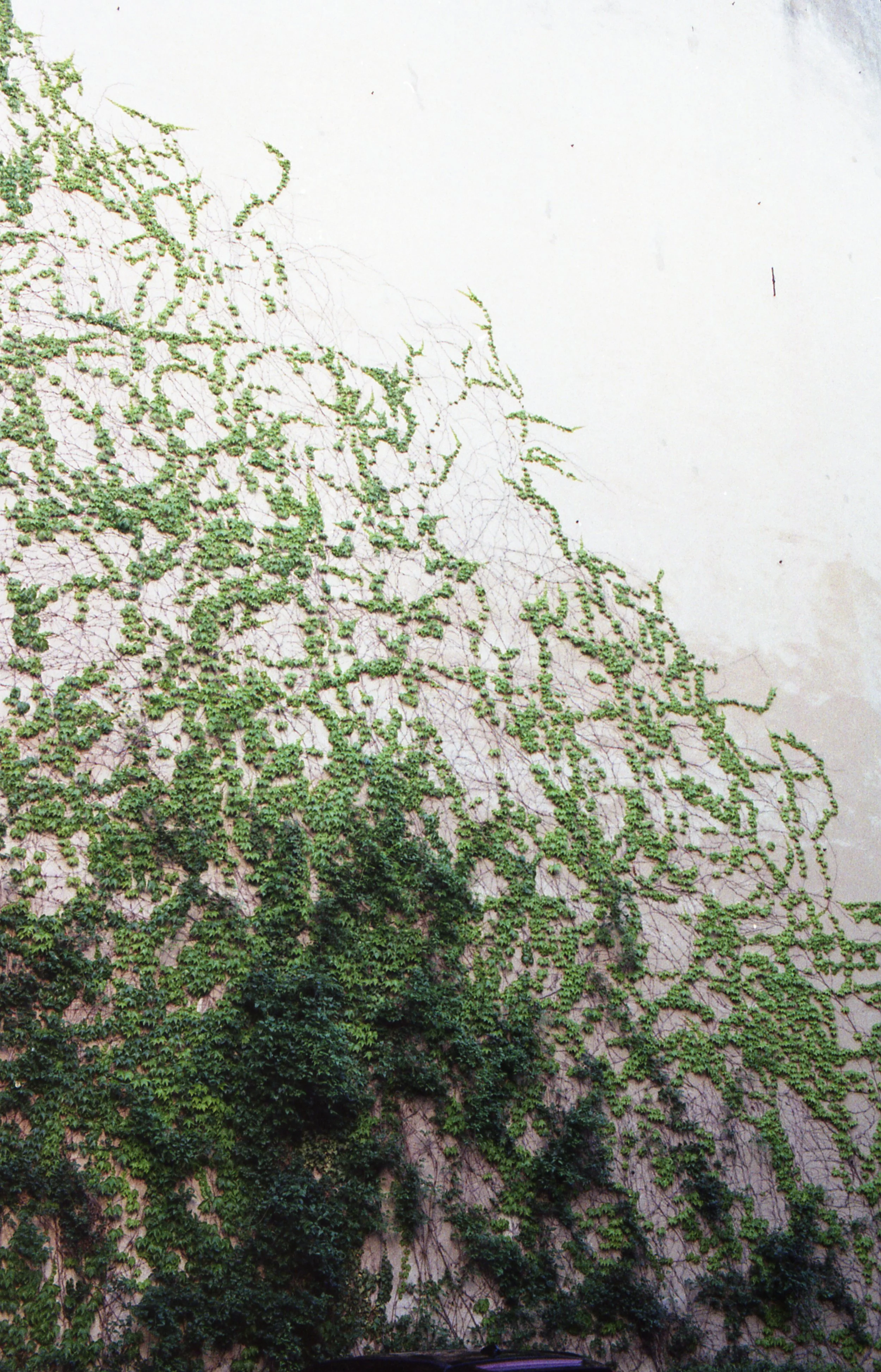G7IMG025.jpg