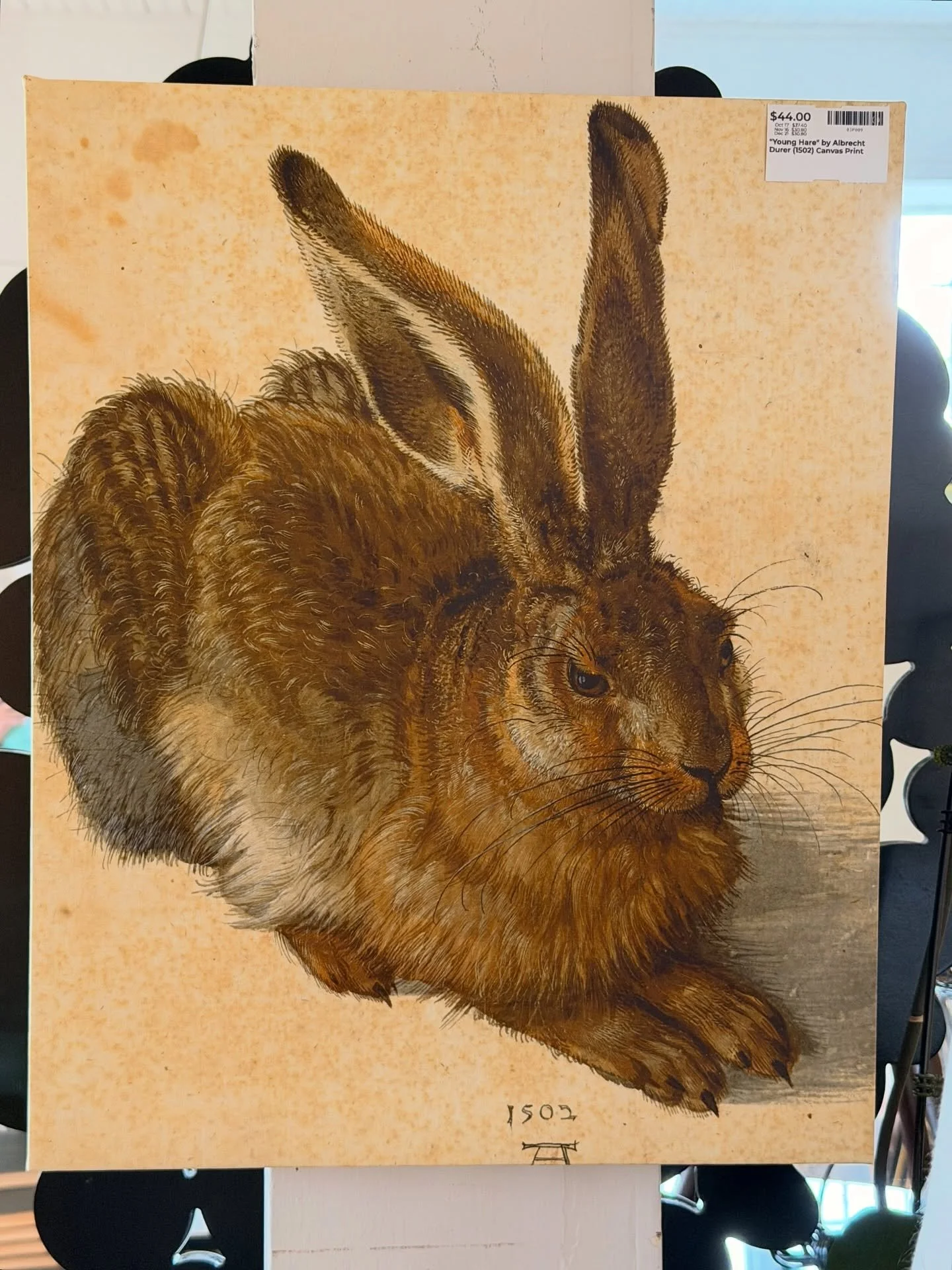 &ldquo;Young Hare&rdquo; by Albrecht Durer (1502) canvas print.
12&rdquo; x 20&rdquo;
$37.40

Call 215-798-6970 or stop in to purchase.
All sales are final.
#consignment #art #younghare #buckscounty #newhope #curatedcollections