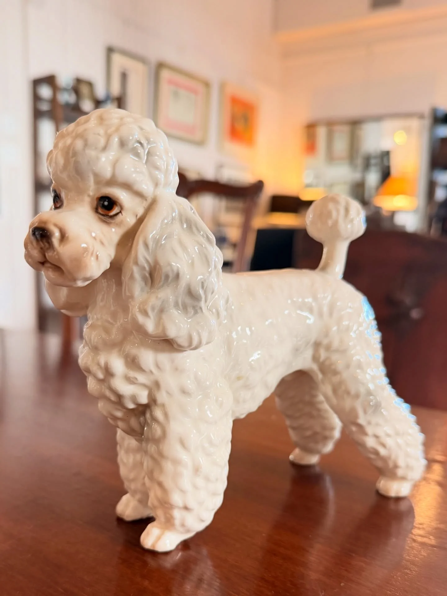 We love dogs!
Here is a mid-century standard white poodle. 
Numbered underneath.
6.25 H x 8&rdquo; Long
$32.30

call 215-798-6970 or stop in to purchase. All sales are final.
#consignment #standardpoodlesofinstagram #whitepoodle #midcenturydog #dogso