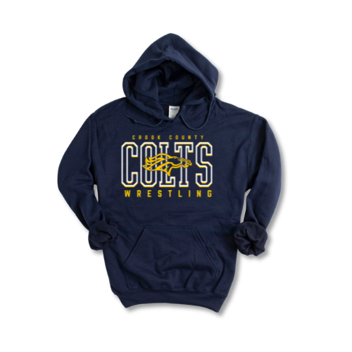 ccms mockups.png