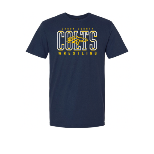 ccms mockups.png