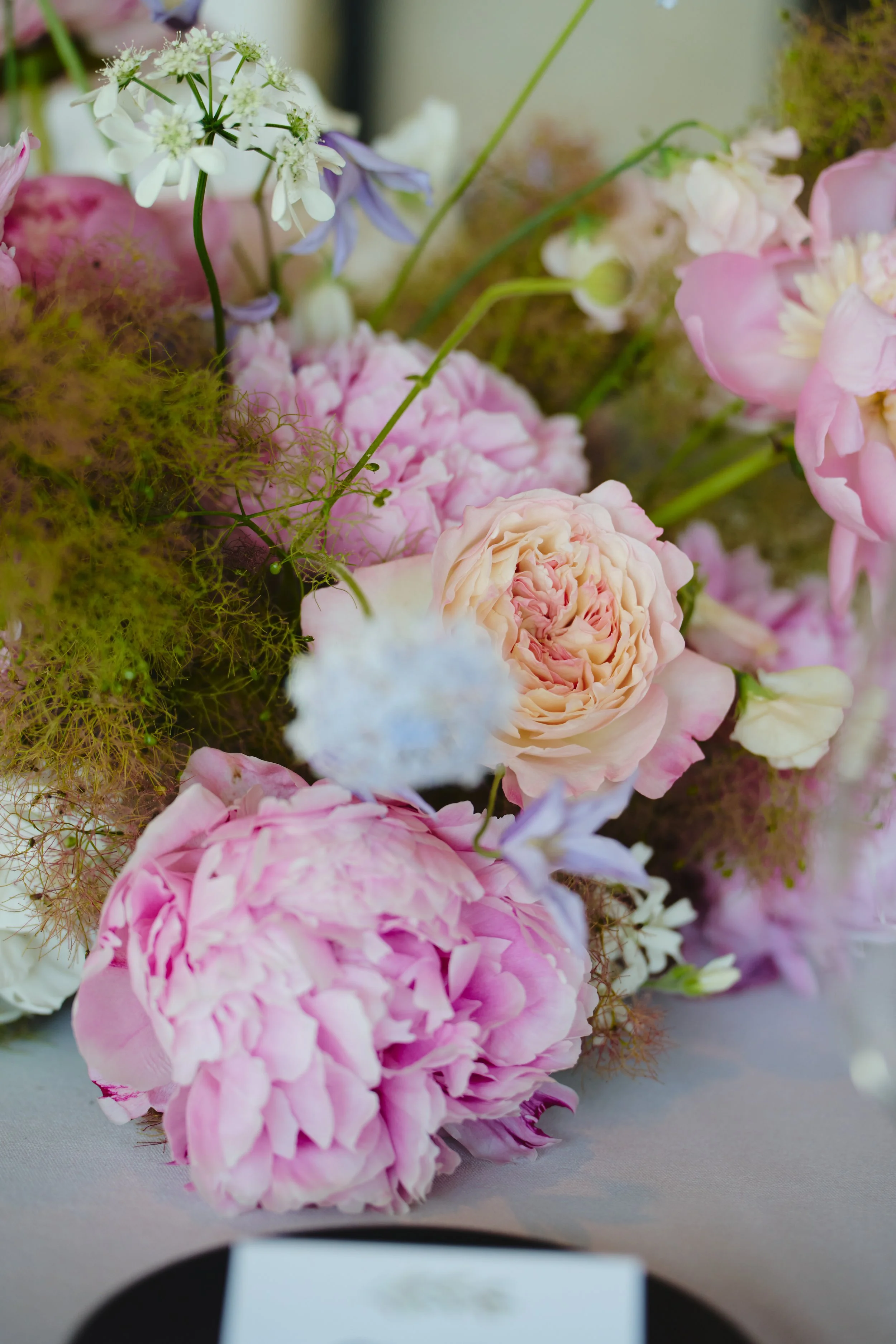 260616 canlis 2.jpg