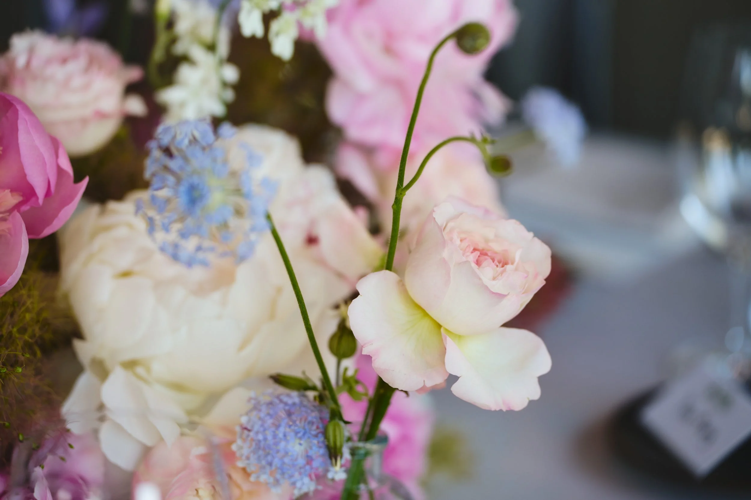 260616 canlis 17.jpg