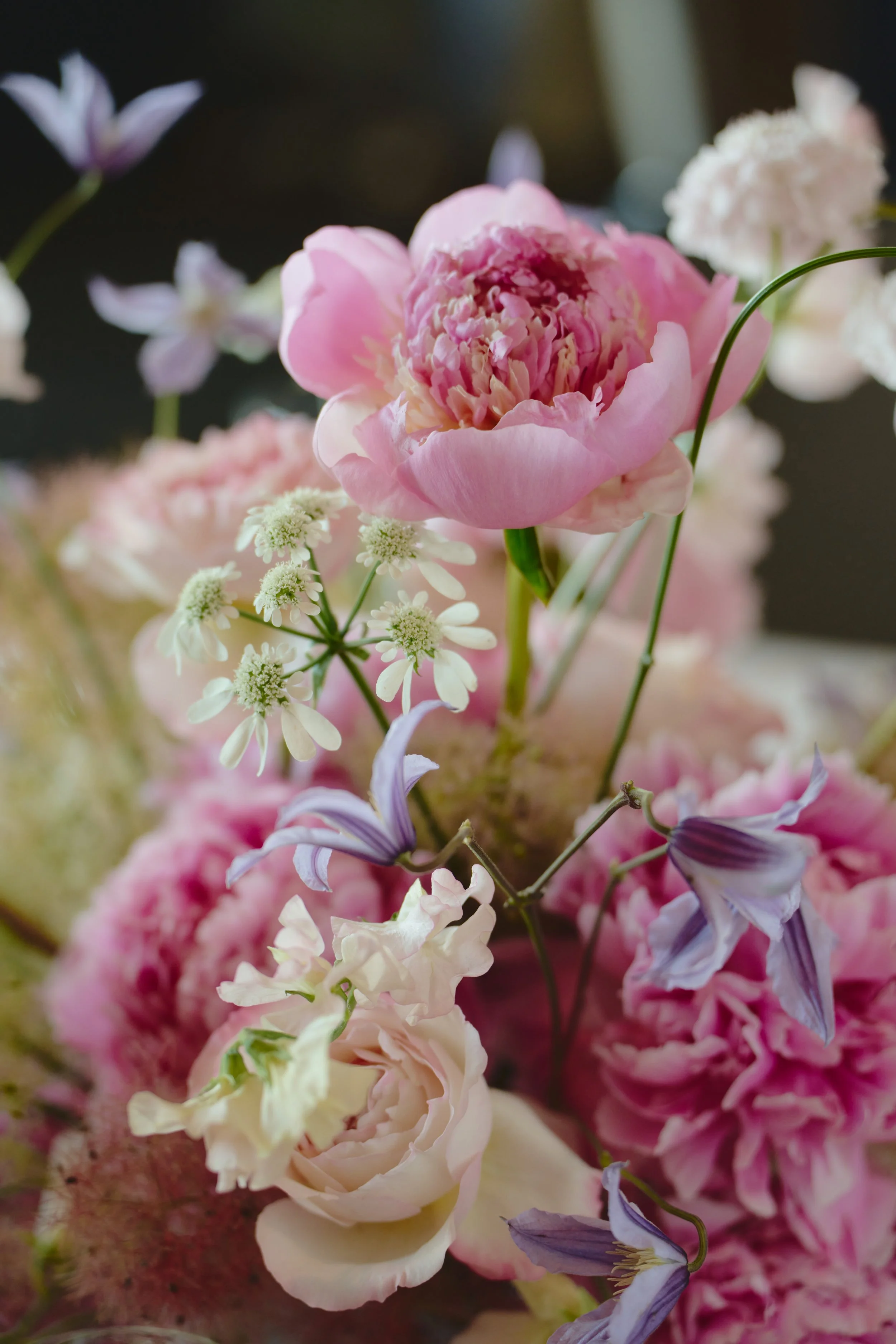 260616 canlis 9.jpg