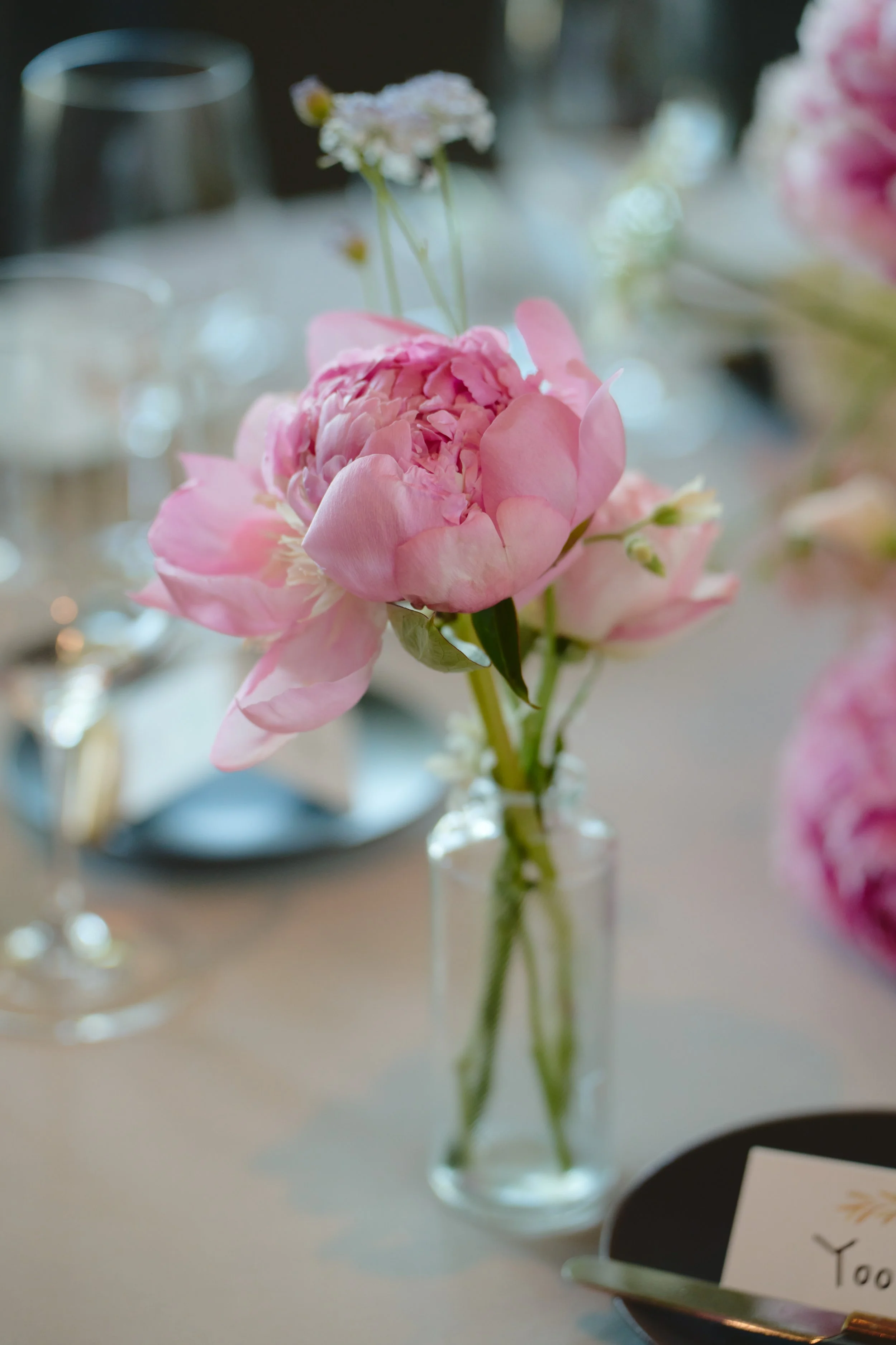 260616 canlis 10.jpg