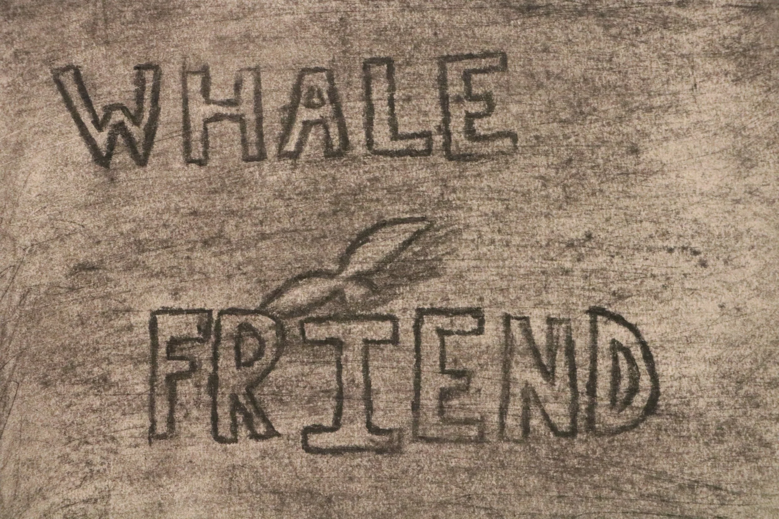 Whale Friend