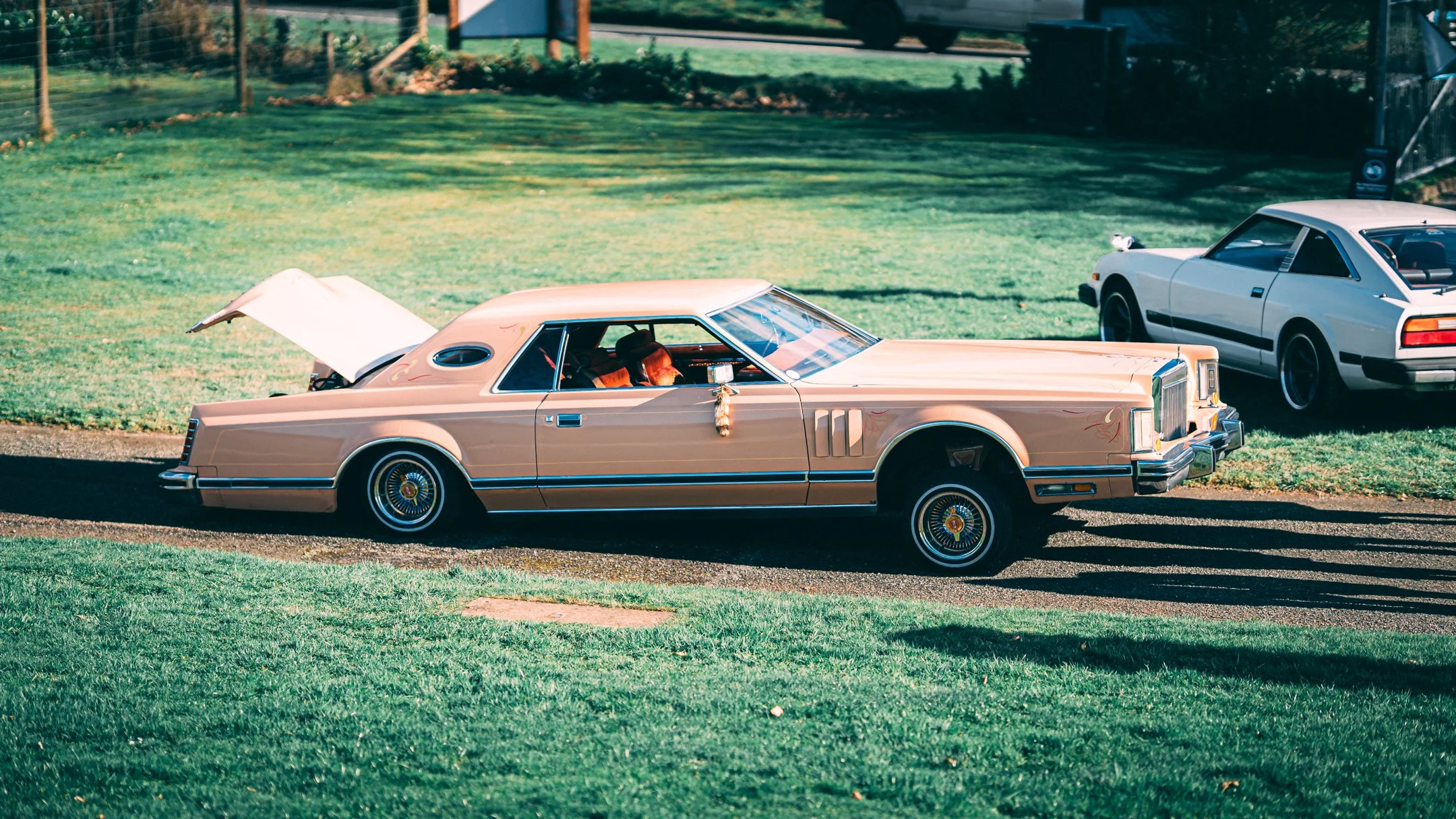 A vintage pink luxury car with a hood ornament parked on a grassy area, with a white classic car in the background.