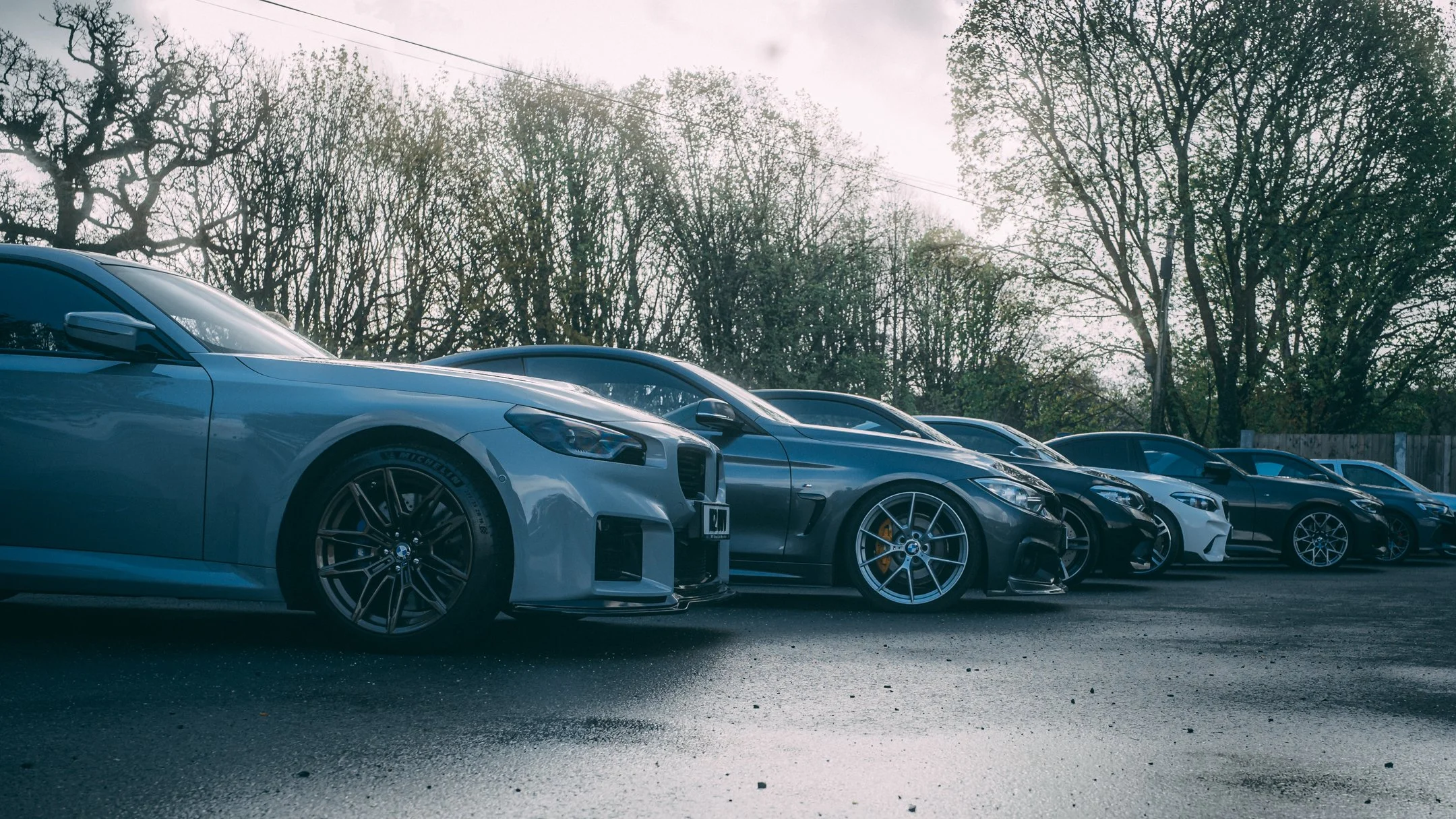Lineup of multiple sports cars parked outdoors with trees in the background and sunlight filtering through.