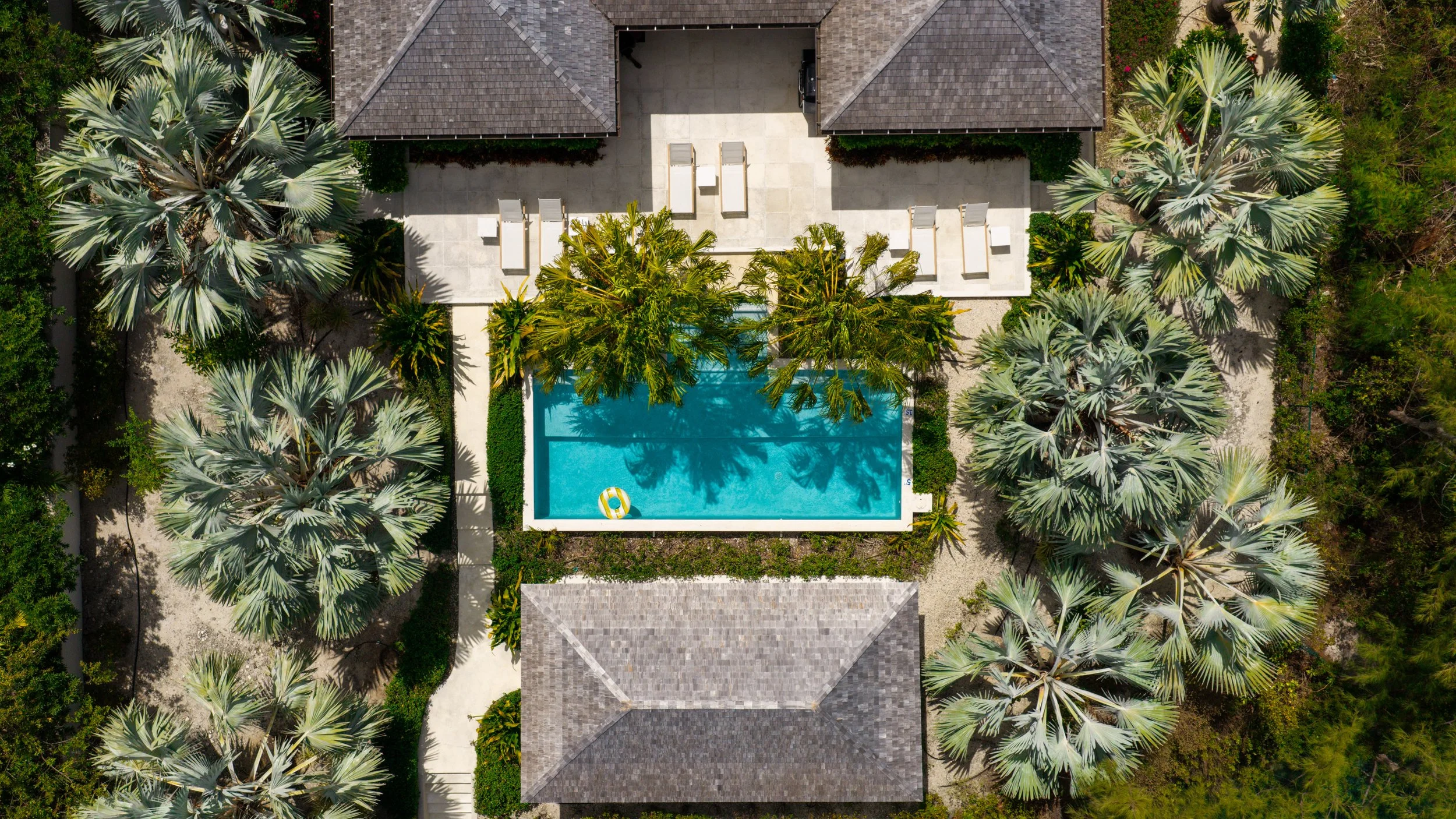 Aerial view of a backyard with a swimming pool, palm trees, and a house with a gray shingle roof.