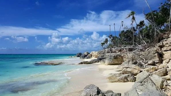Tropical beach with clear turquoise water, white sandy shore, and palm trees on rocky terrain under a blue sky with scattered clouds.