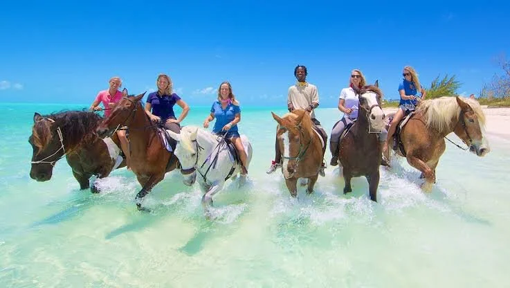 Five women riding horses in clear, shallow ocean water near a sandy beach under a bright blue sky.