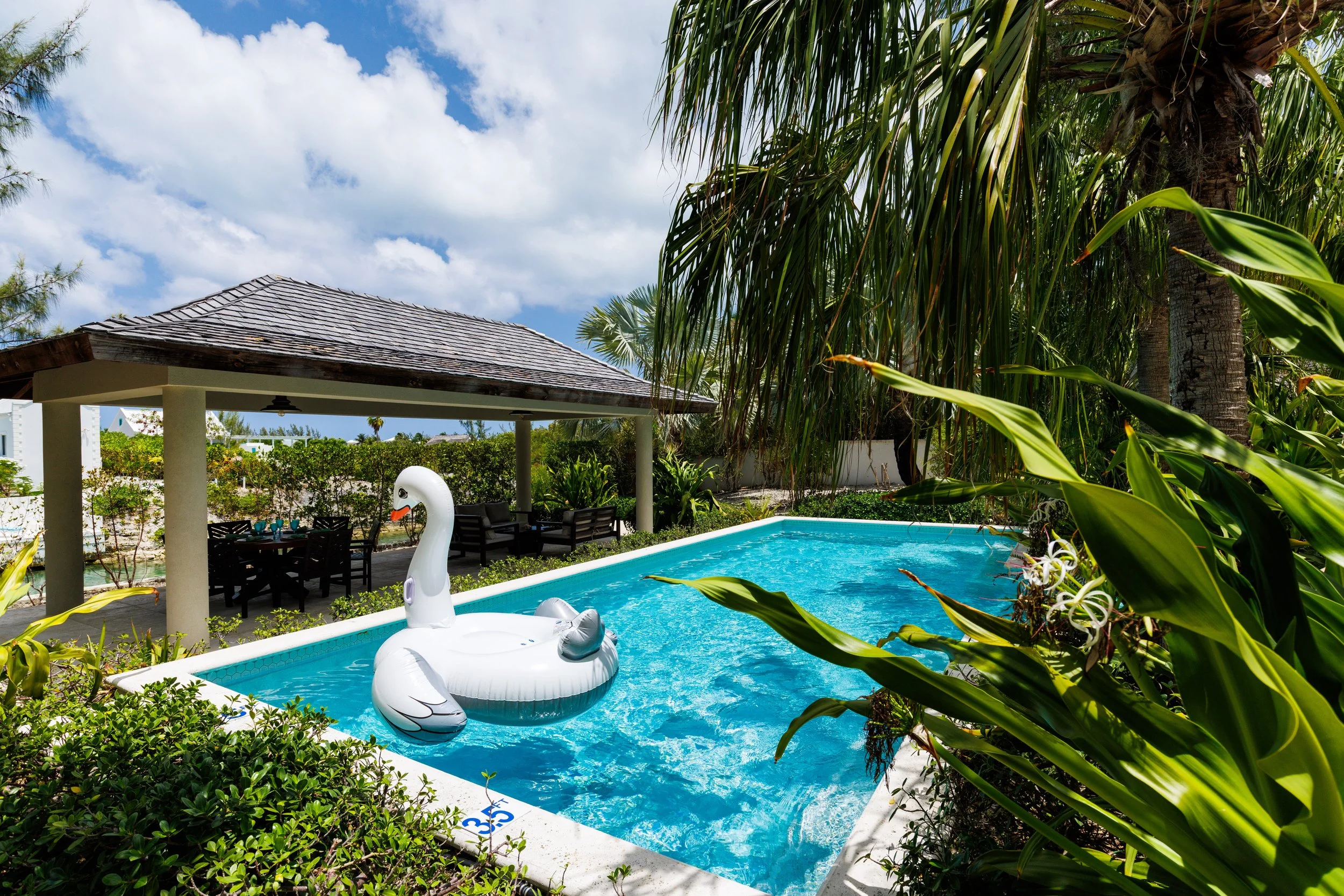 A backyard with a swimming pool featuring a swan-shaped inflatable float, surrounded by lush green plants, a shaded patio area with outdoor furniture, and large palm trees. The sky is partly cloudy.
