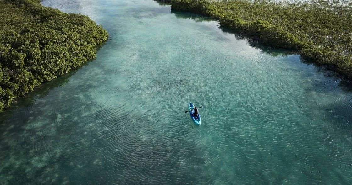 A person kayaking in a narrow, calm waterway surrounded by lush green mangroves.