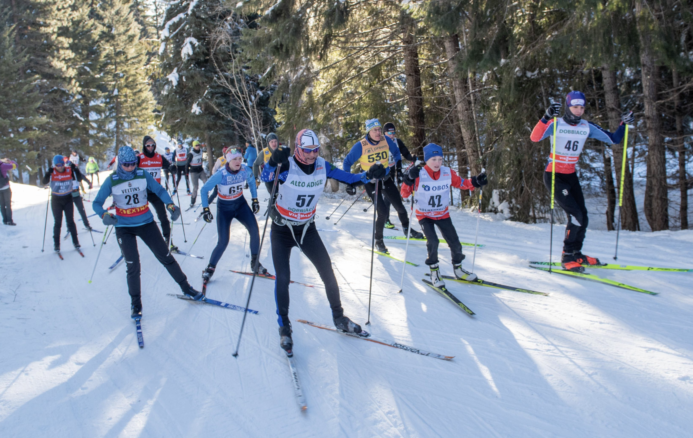 January 28th Newsletter 