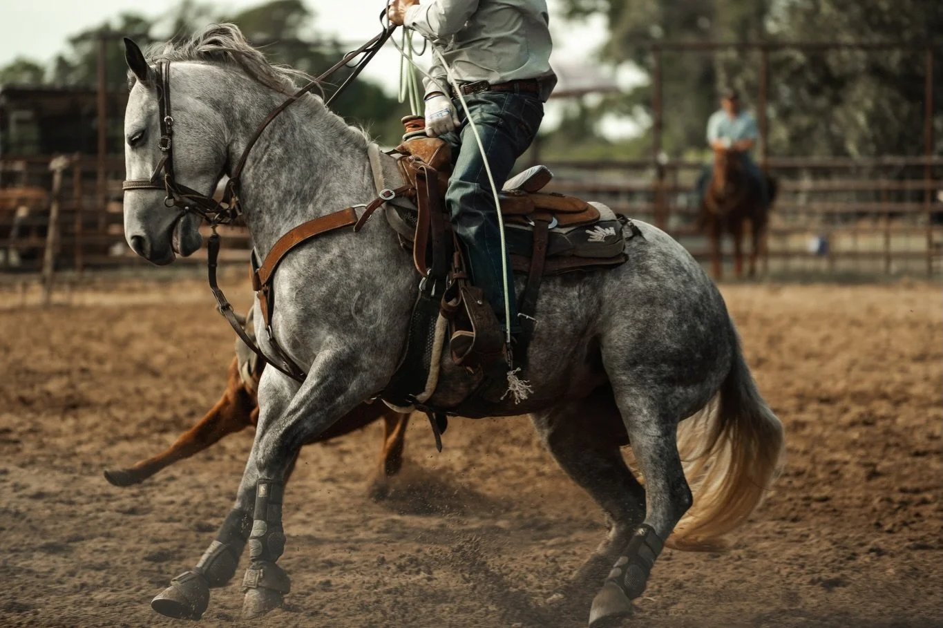 2026 is about side quests that elevate you.

Not detours. Not distractions. Small adventures that expand your way of life.

Try the thing you&rsquo;re bad at. Go somewhere unfamiliar on purpose. Say yes before you know how it ends.

Side quests aren&