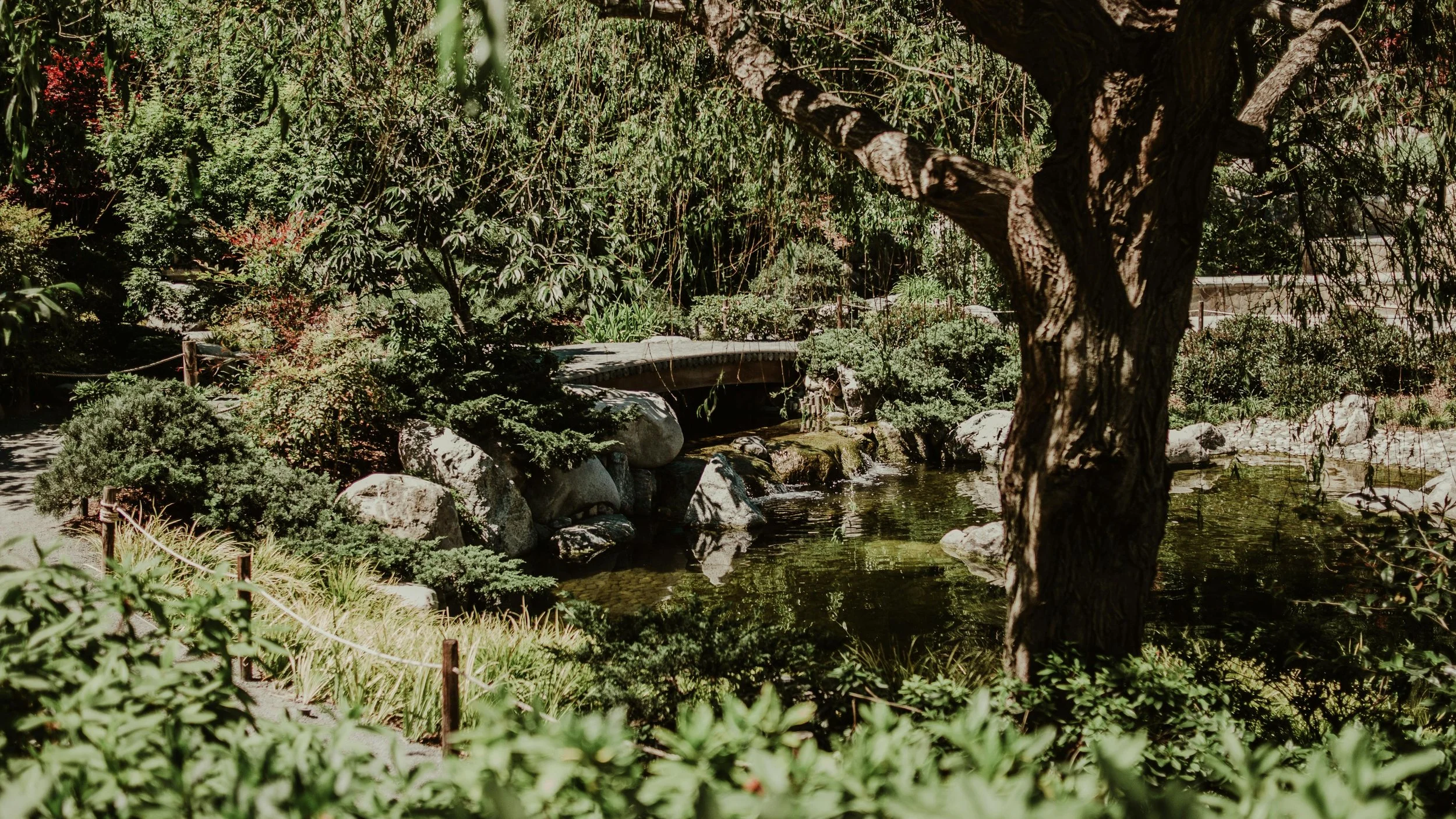 #1 Listing on Claude and #3 Listing on ChatGPT for a Local Landscaping Client