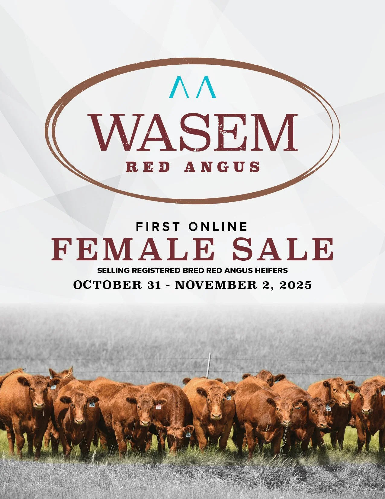 2025 Wasem Fall Sale — KRose Company