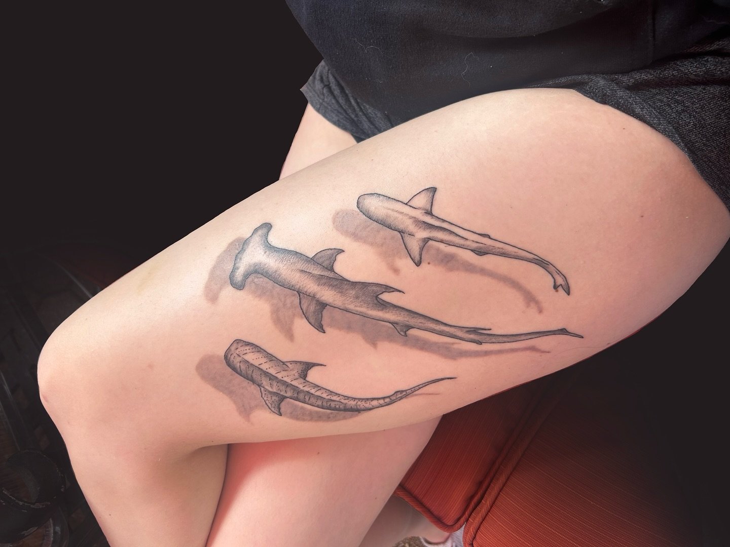 Sharks with Shadows🦈

I love this tattoo and its execution. 20% greywash for the shadow. This is a week after the initial tattooing so all the redness has come down and the greys came through. 

I love those two tones together and would love to do m