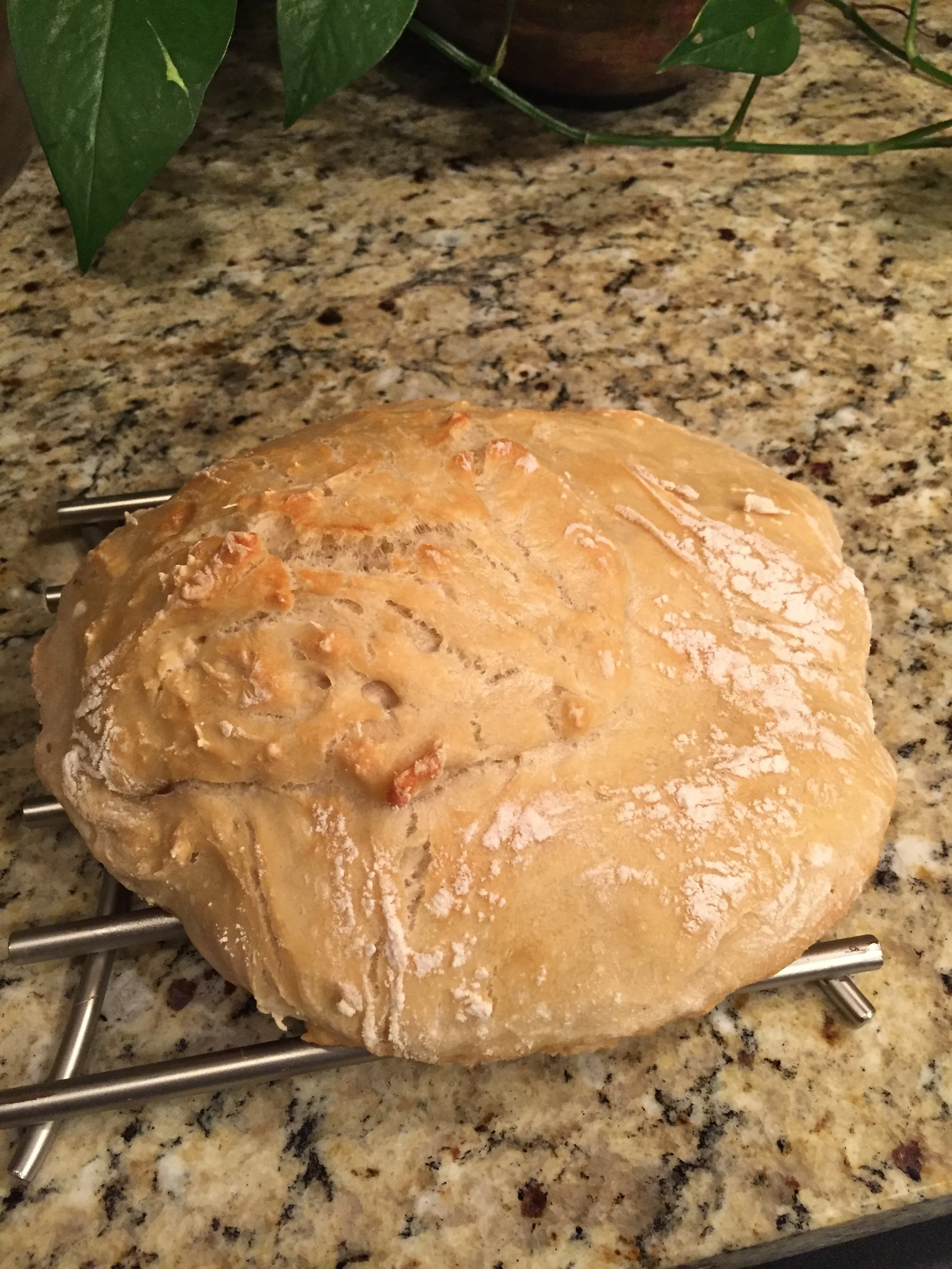 ...Then bake it in the same dutch oven the next day.  So good!  :)