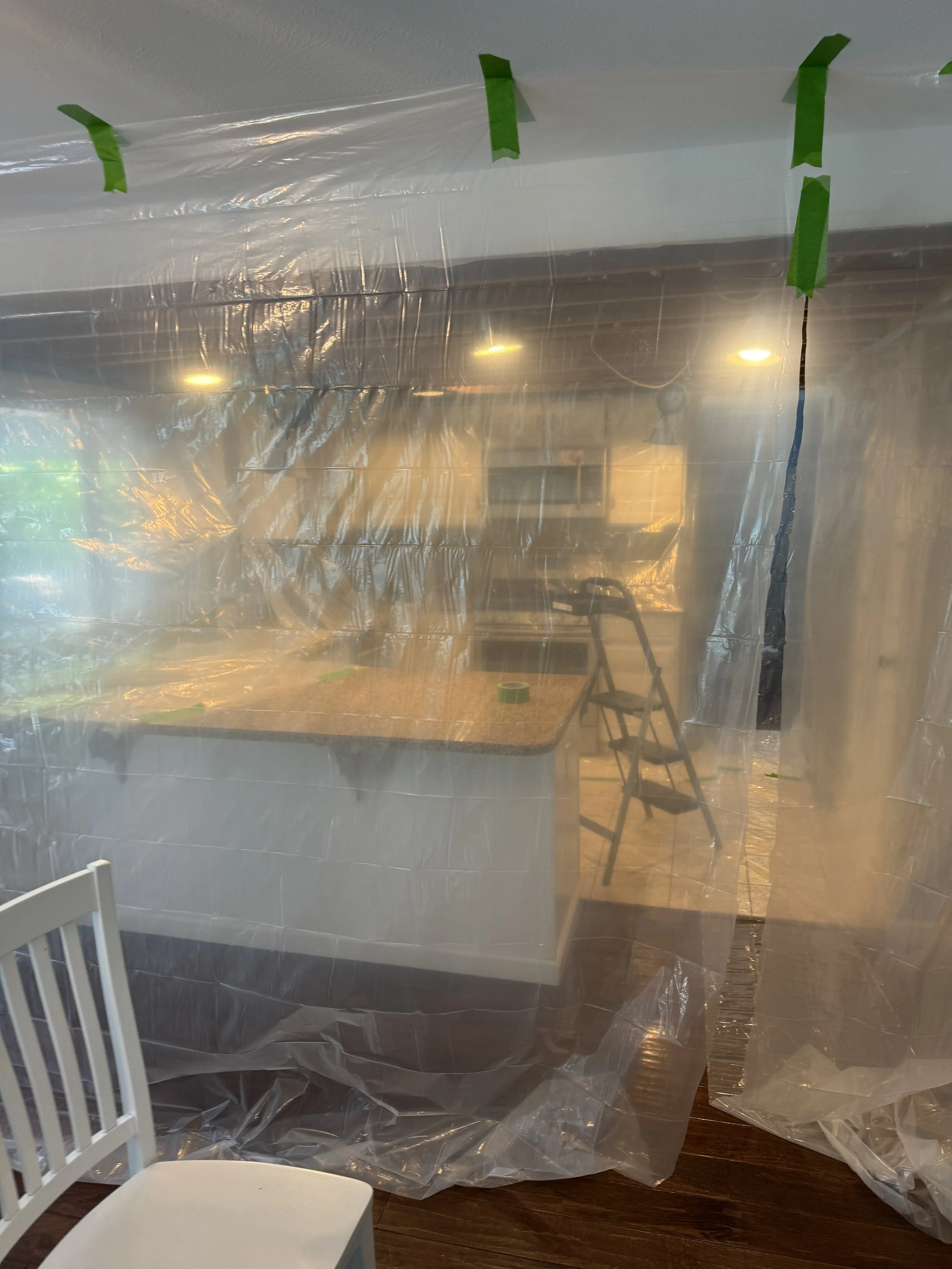 But, I still have to remove the drop, and get the ceiling height to the bottom of the joists. This may look like something Dexter would do, but it's really just to keep the sawdust contained lol