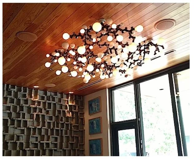 I saw this very cool, organic looking light fixture at a visit to the La Condesa mexican restaurant in Austin.  It very much caught my eye. :)