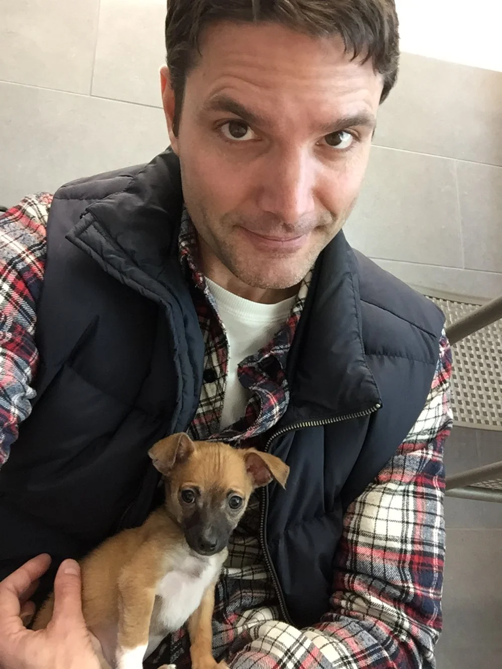 Got my little dog Yashe, the greatest little companion I could have hoped for, at the Boulder animal shelter...