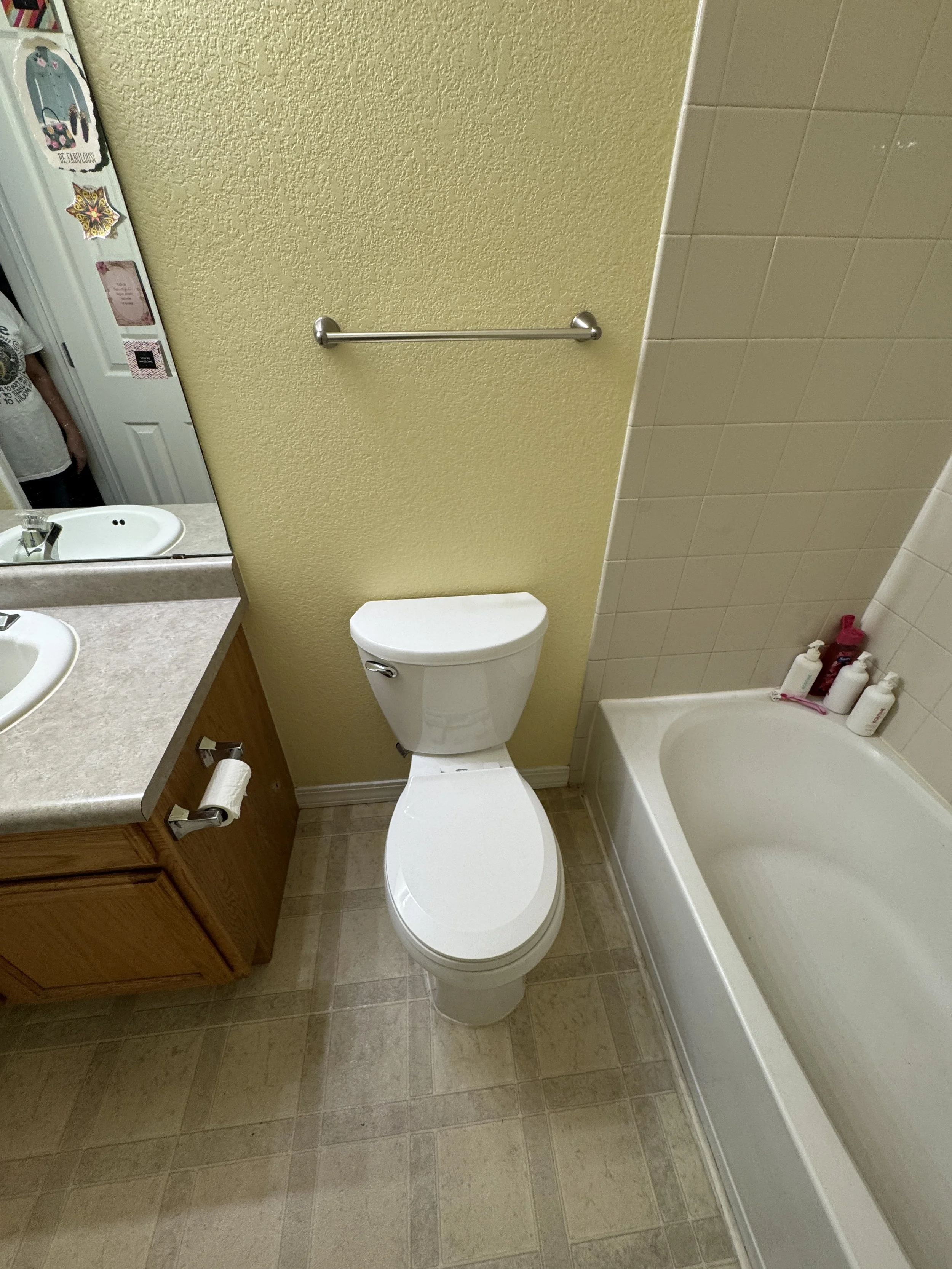 Going to replace the toilet with a new chair-height model...