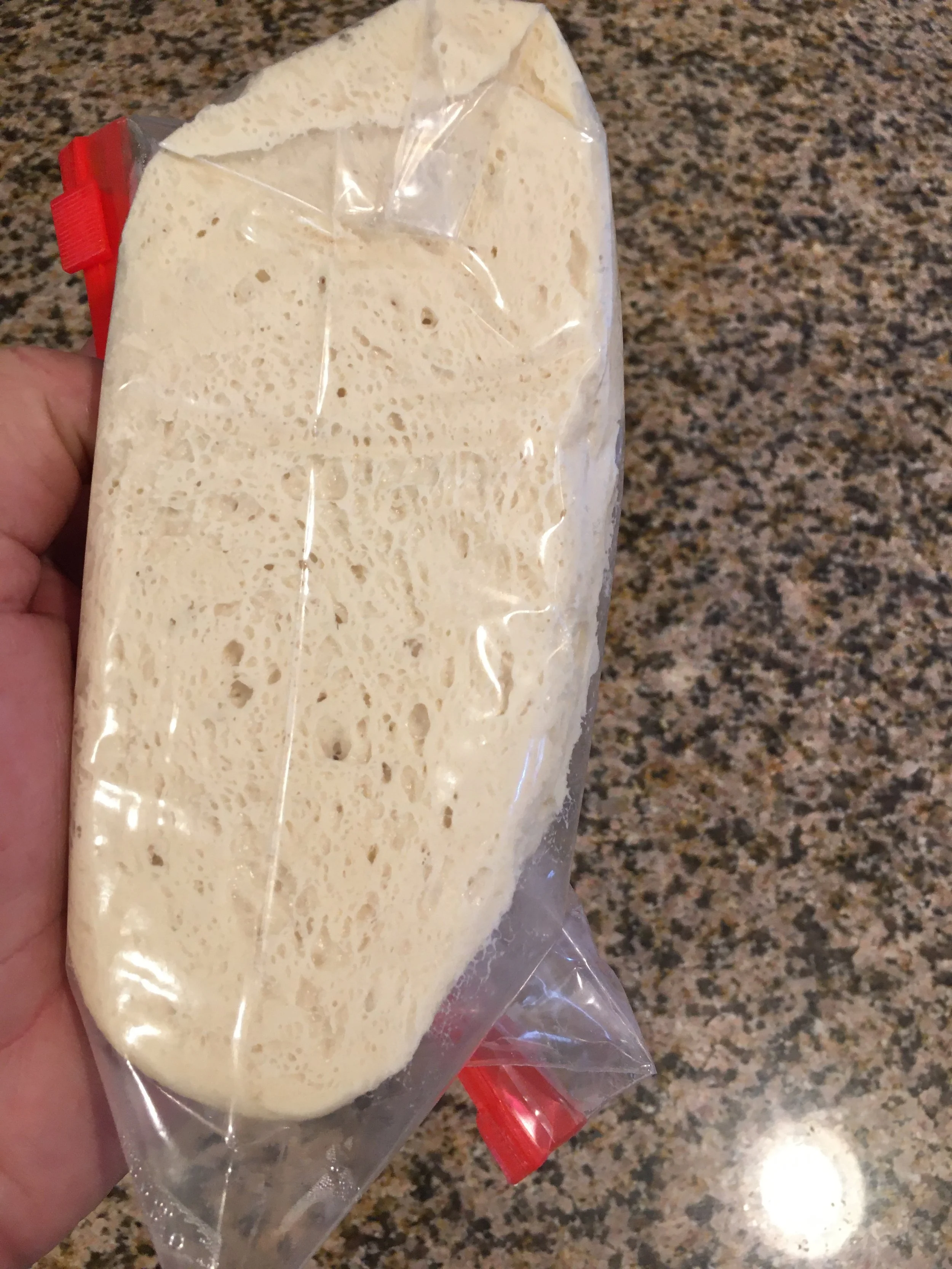 A slow, cold ferment in the refrigerator results in an EXCELLENT structure to the dough, and also vastly improved flavor.  Beautiful.  