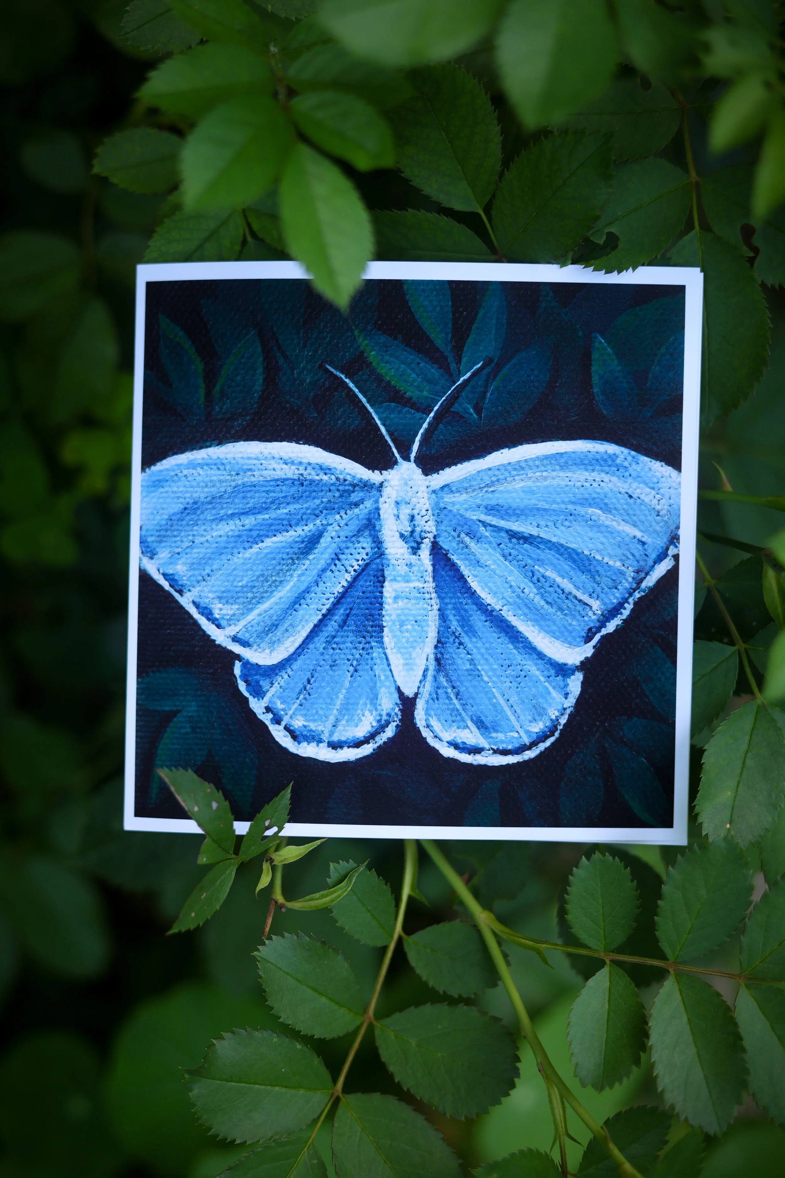 Summer Azure Greeting Card