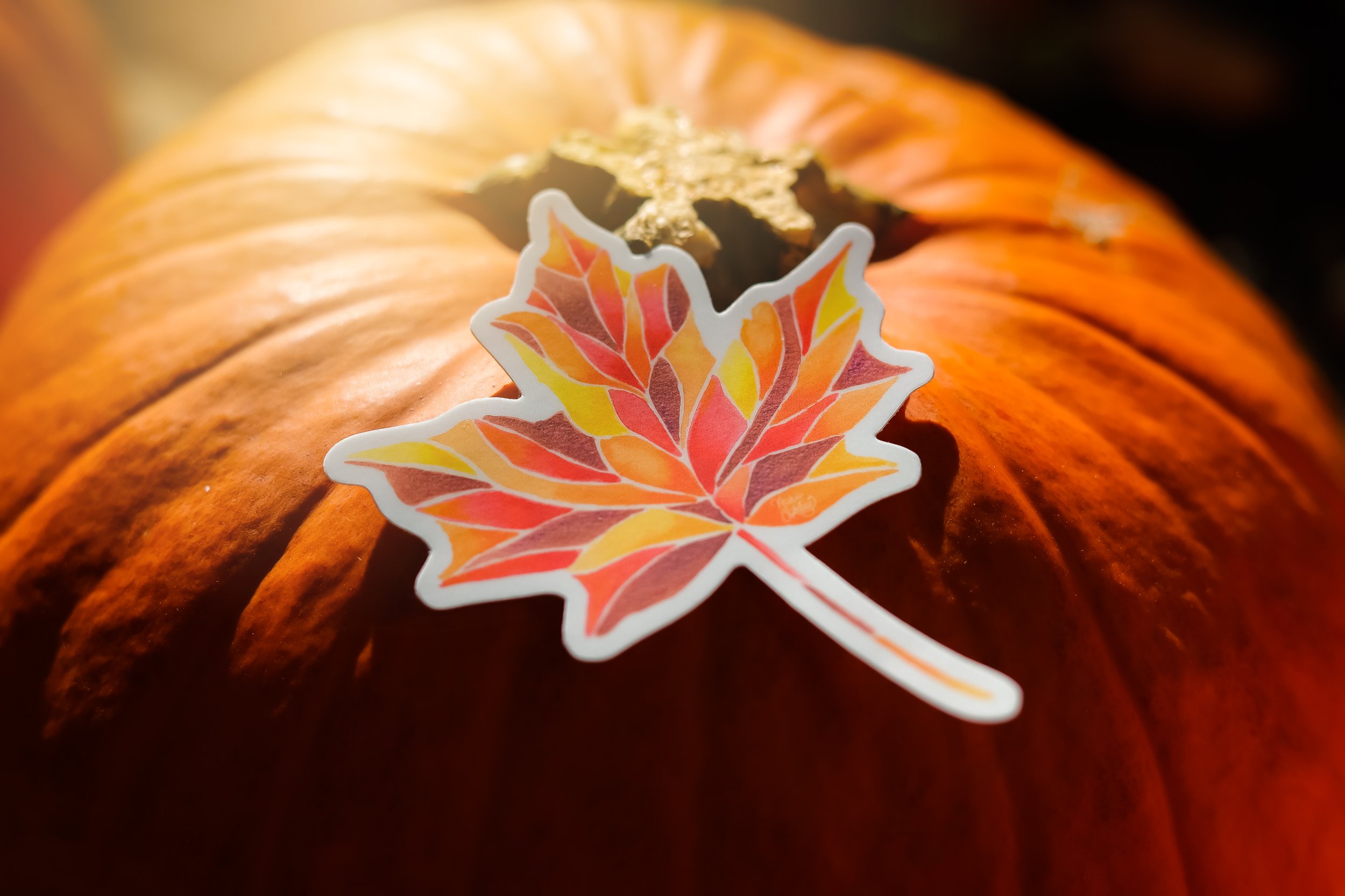 red leaf.jpg