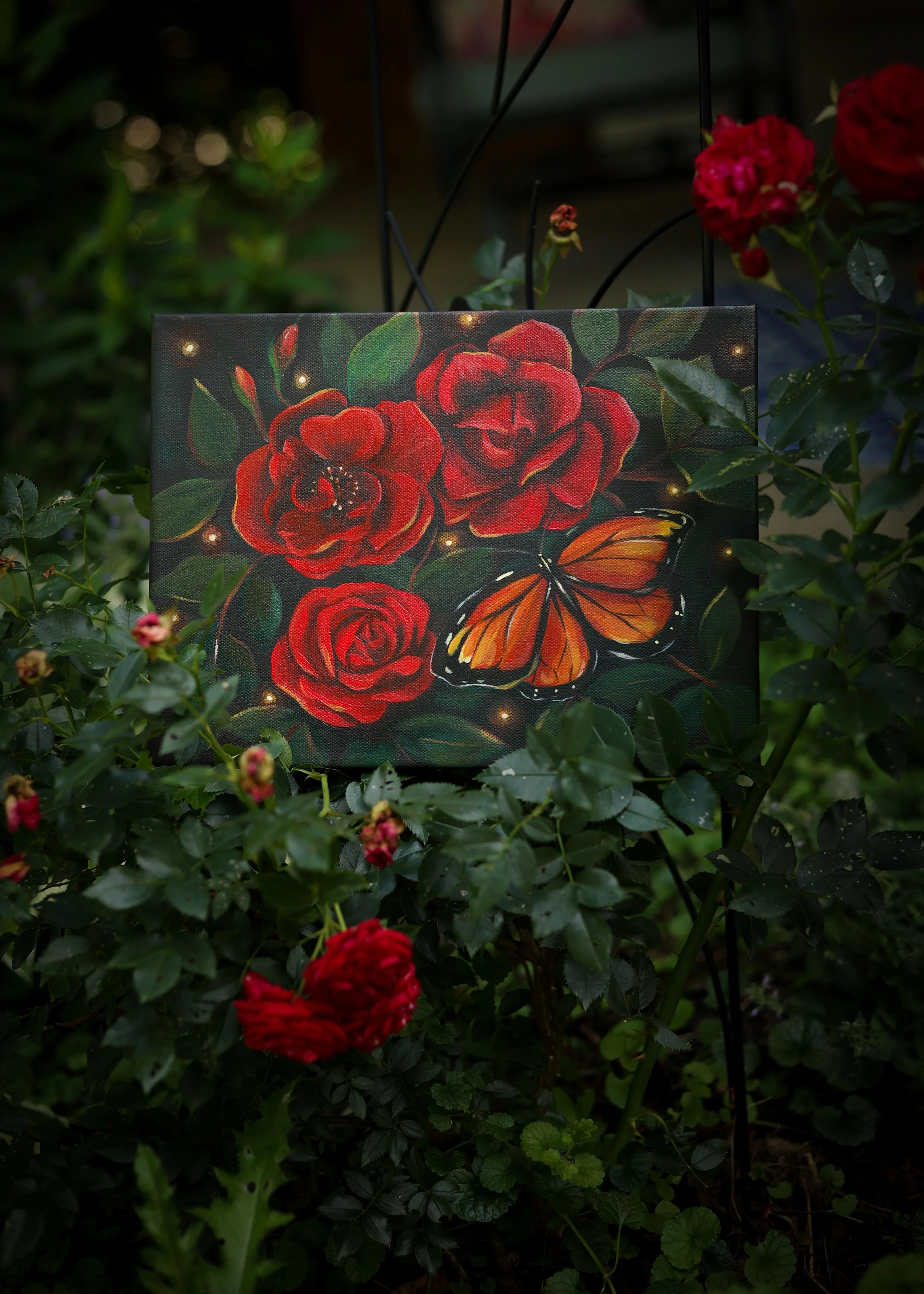 The Monarch and The Red Rose~ A Winged Messenger