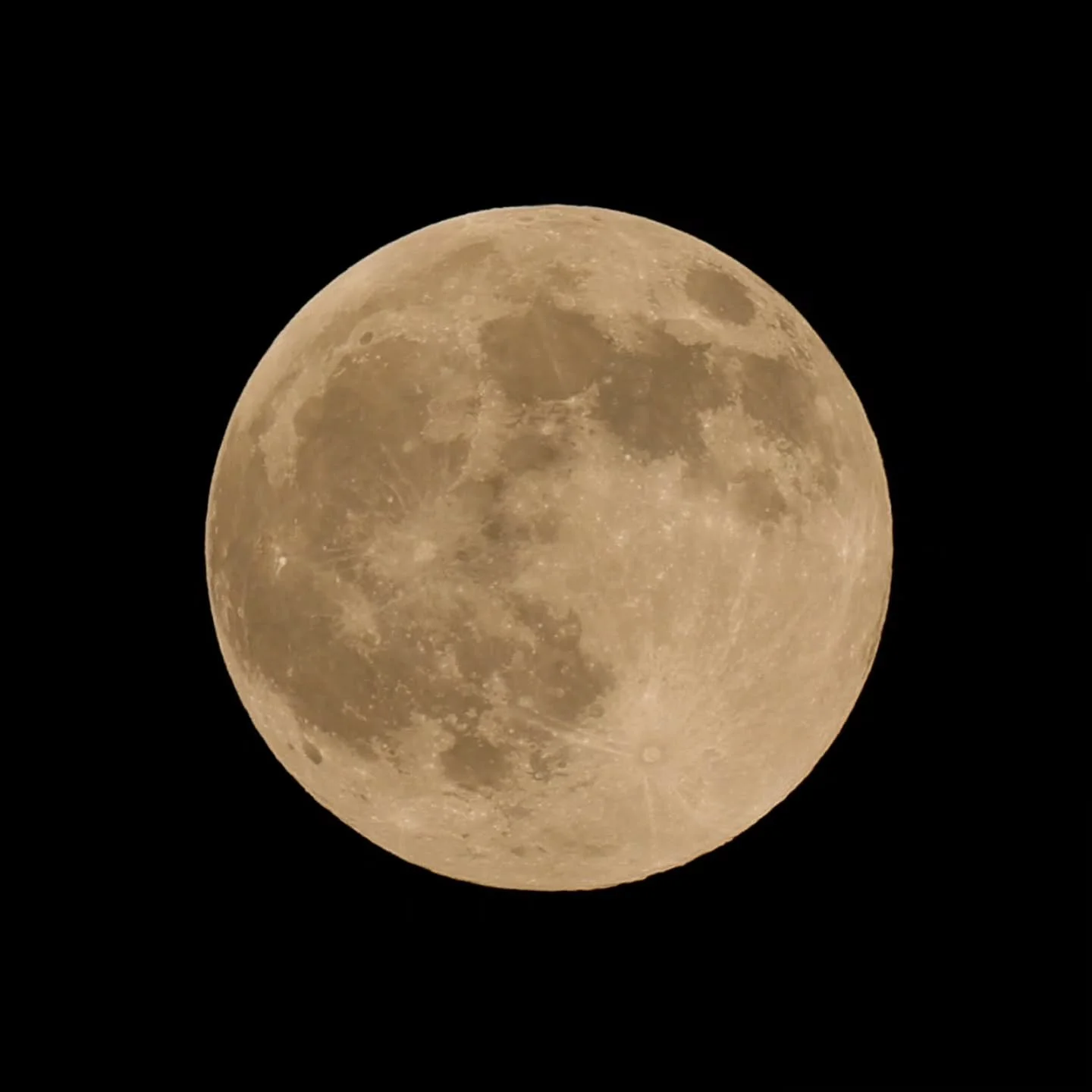 Harvest Moon 🌕🍂✨️

Field Notes: Sitting Under the Moonlight &ndash; 10/06

Sitting under the moon, the air felt cooler a storm soon to come. Autumn is in the air.
An airplane soared overhead as bats swirled and danced in the moonlight. The trees sw