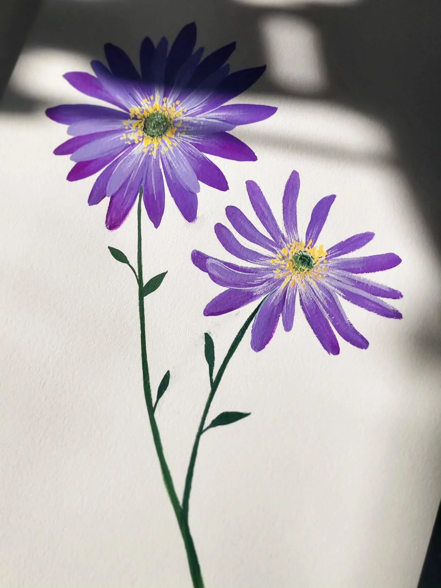 ✨️per aspera ad astra✨️

Asters, the cosmic beauties of the flower world. ✨️

#asters #gouachepainting #flowers #thebookofflowers