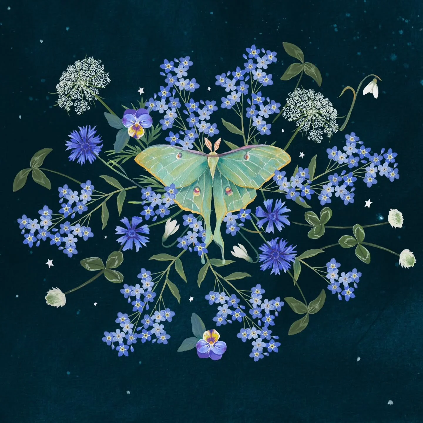 Goals next year~ see a Luna Moth in person and plant forget me nots and queen anne's lace in my garden! 💙

Lots of inspo around the yard this summer☘️

Design in progress ✨️🦋🪻