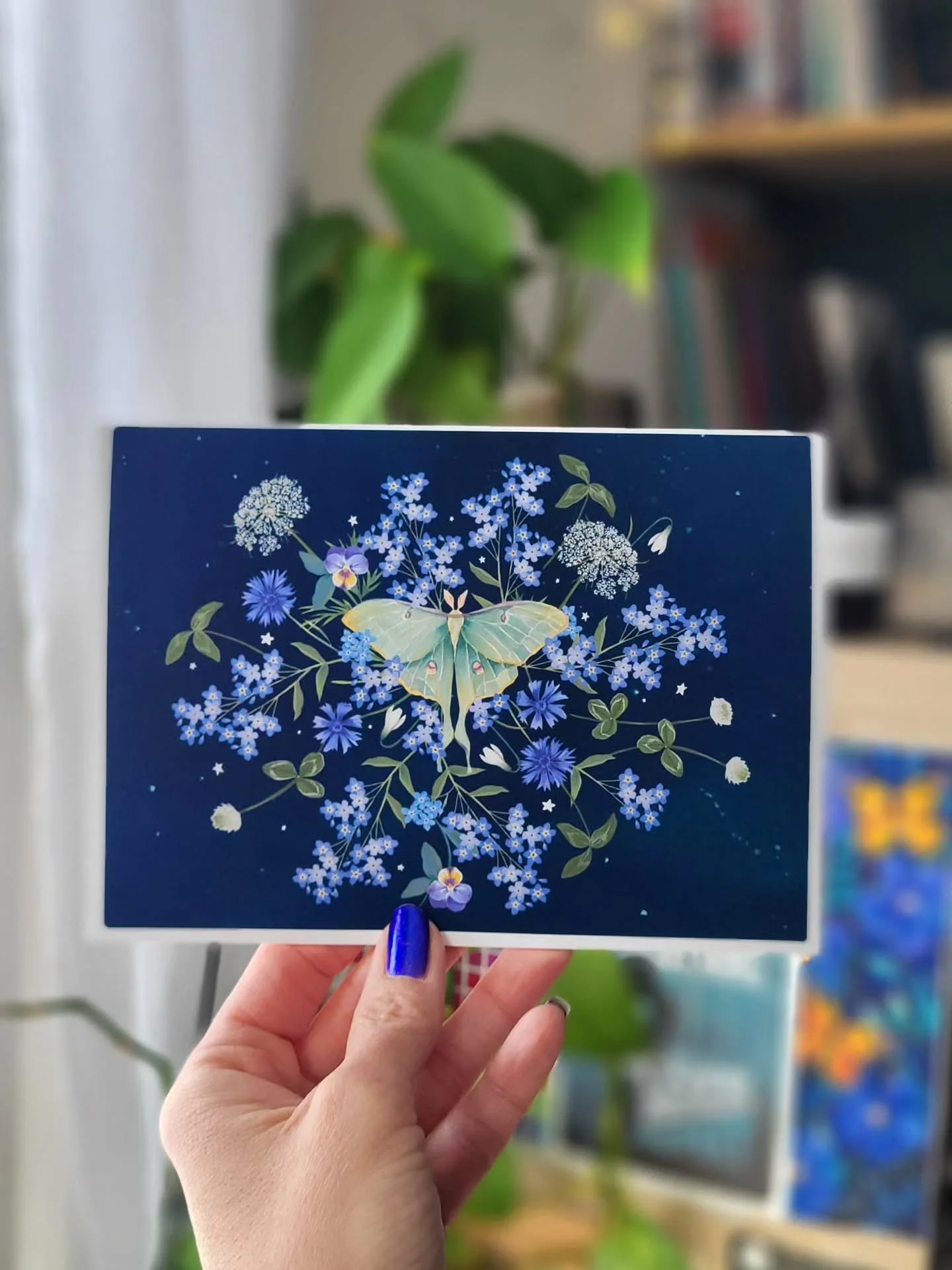 🦋✨️New Card Design✨️🦋