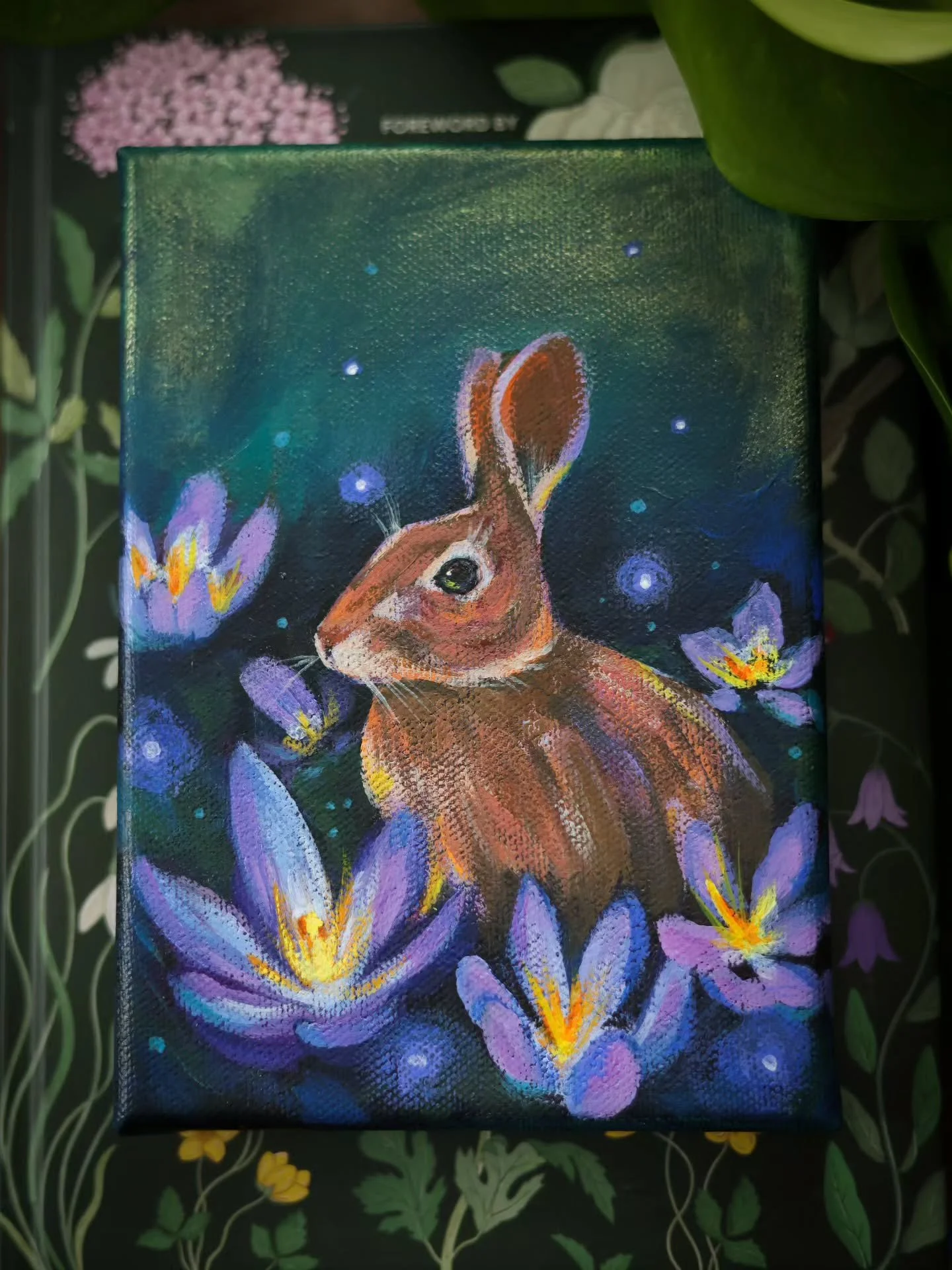 Honey Bun 🍯 
.
Over the summer I had a backyard rabbit (wild) that would visit and seemed to live in my garden! I think there may have even been two bunnies, one I called honey bun and cinnamon bun and a baby! Peta Rabbit. (Like a hunger games/Peter